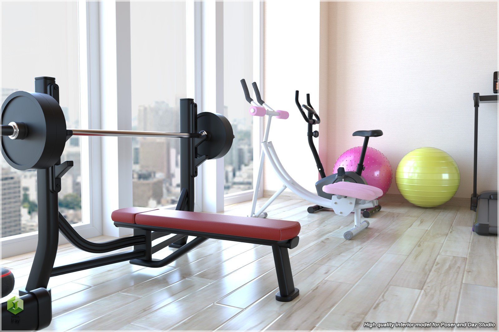 STZ Modern Fitness Room by N/A