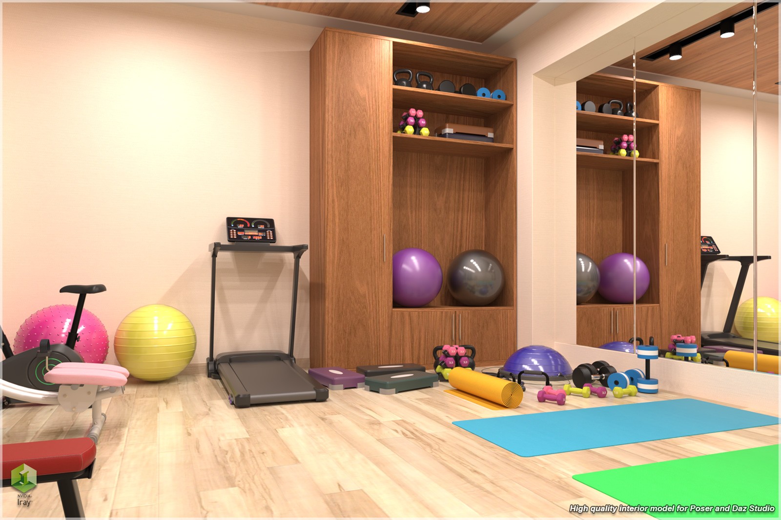 STZ Modern Fitness Room by N/A