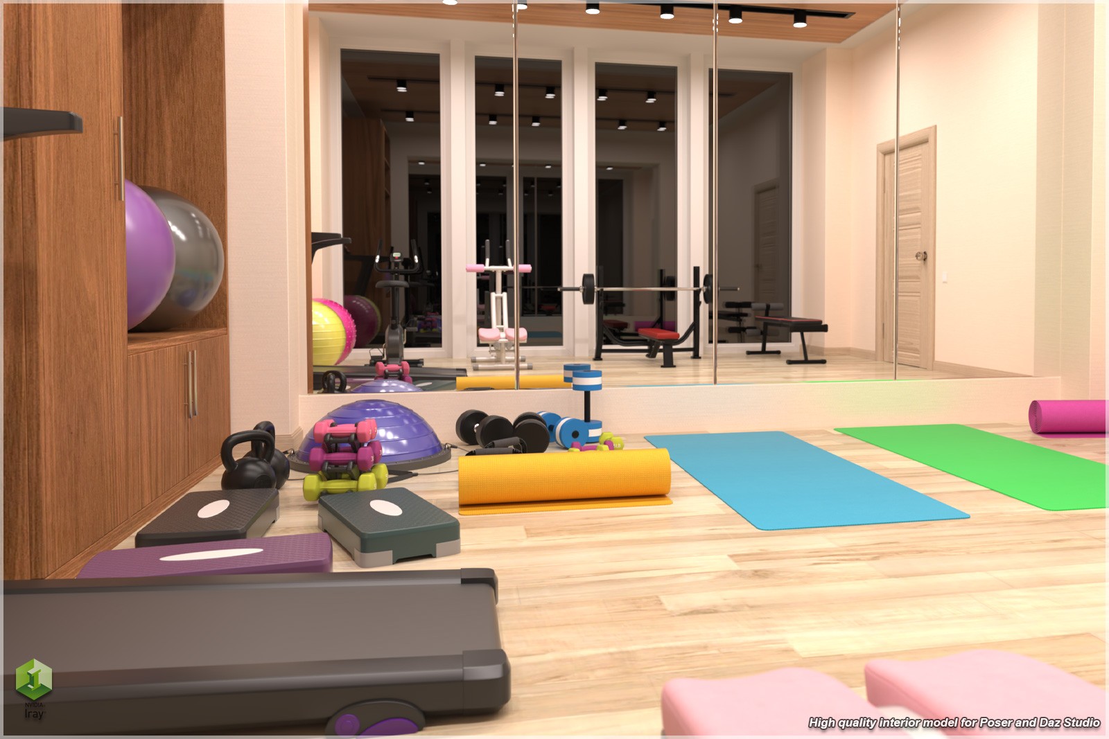 STZ Modern Fitness Room by N/A