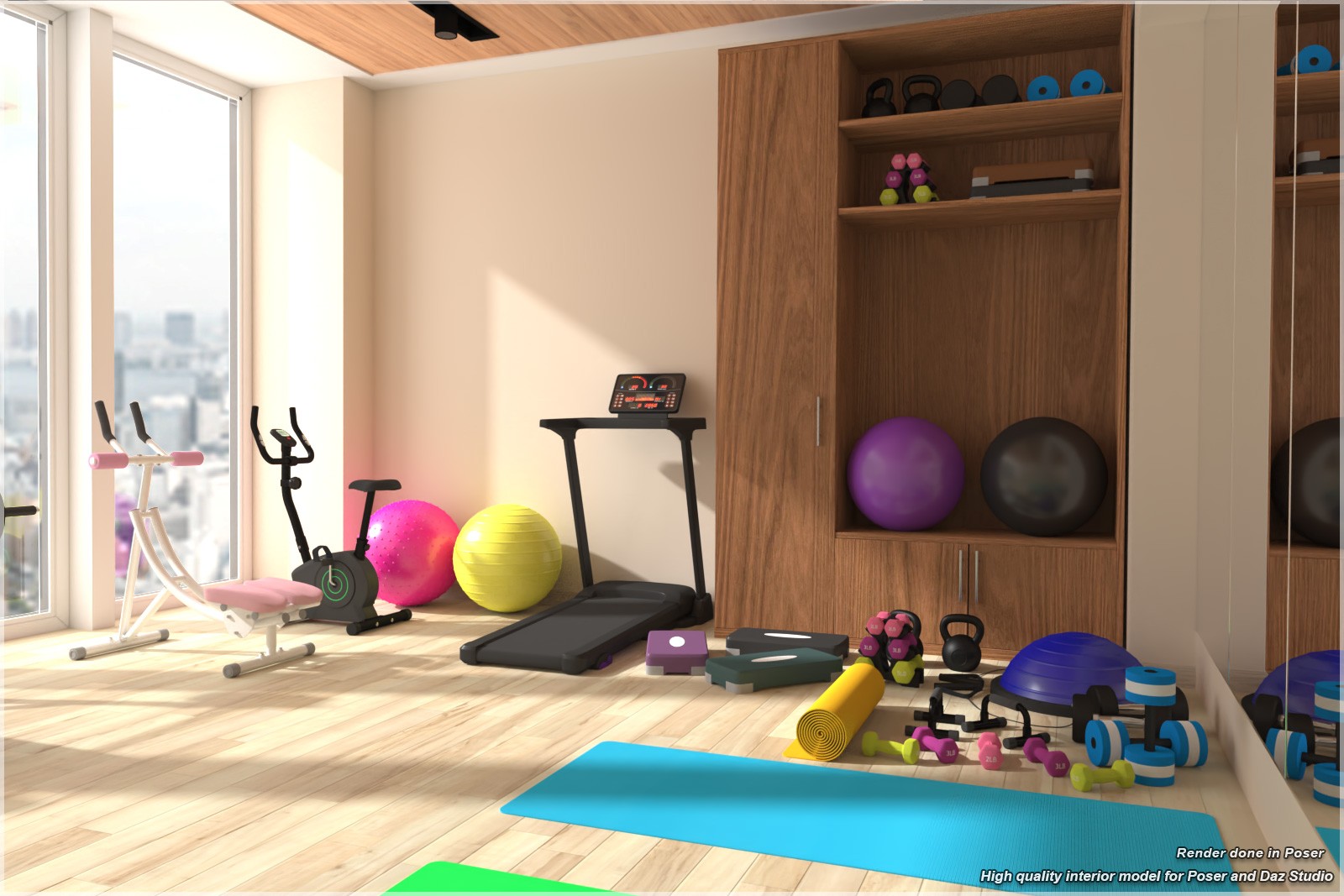 STZ Modern Fitness Room by N/A