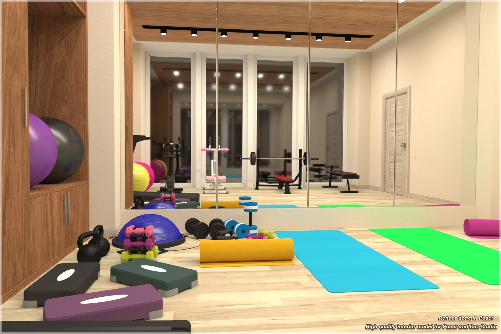 STZ Modern Fitness Room by N/A