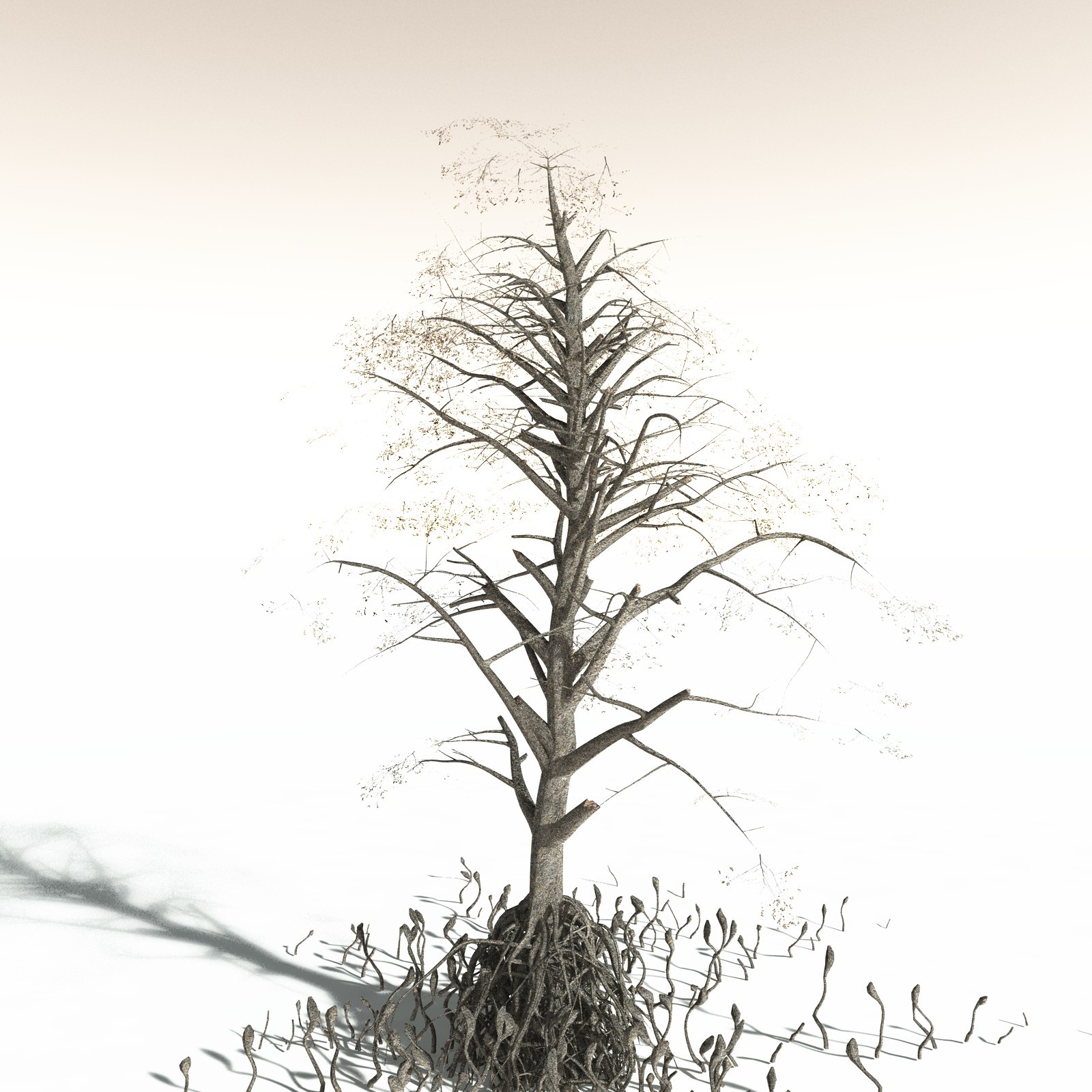 EVERYPlant Indian Mangrove for Daz by N/A