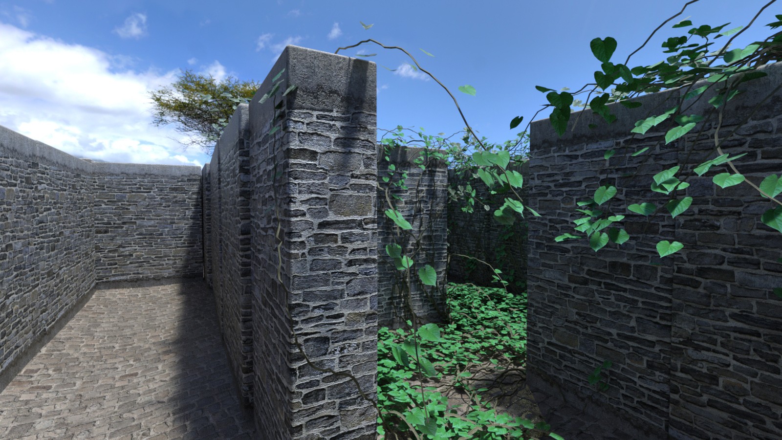 1stB Maze by N/A