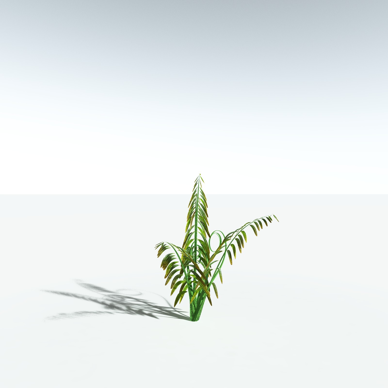 EVERYPlant Mangrove Fern for Vue by N/A