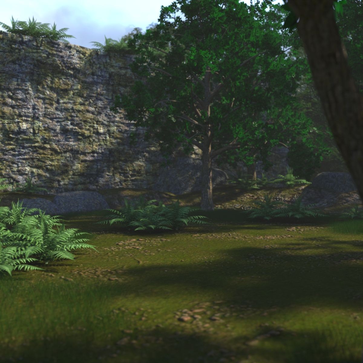 The Cliff by N/A