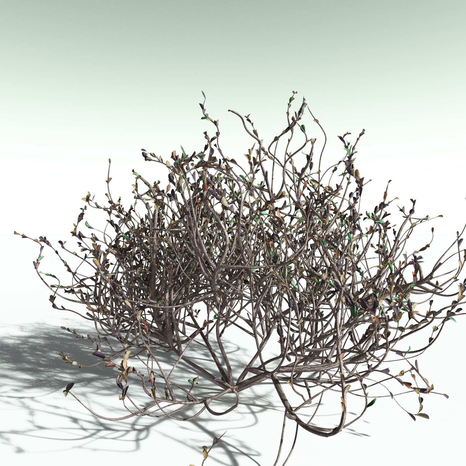 EVERYPlant Nilad for Poser by N/A