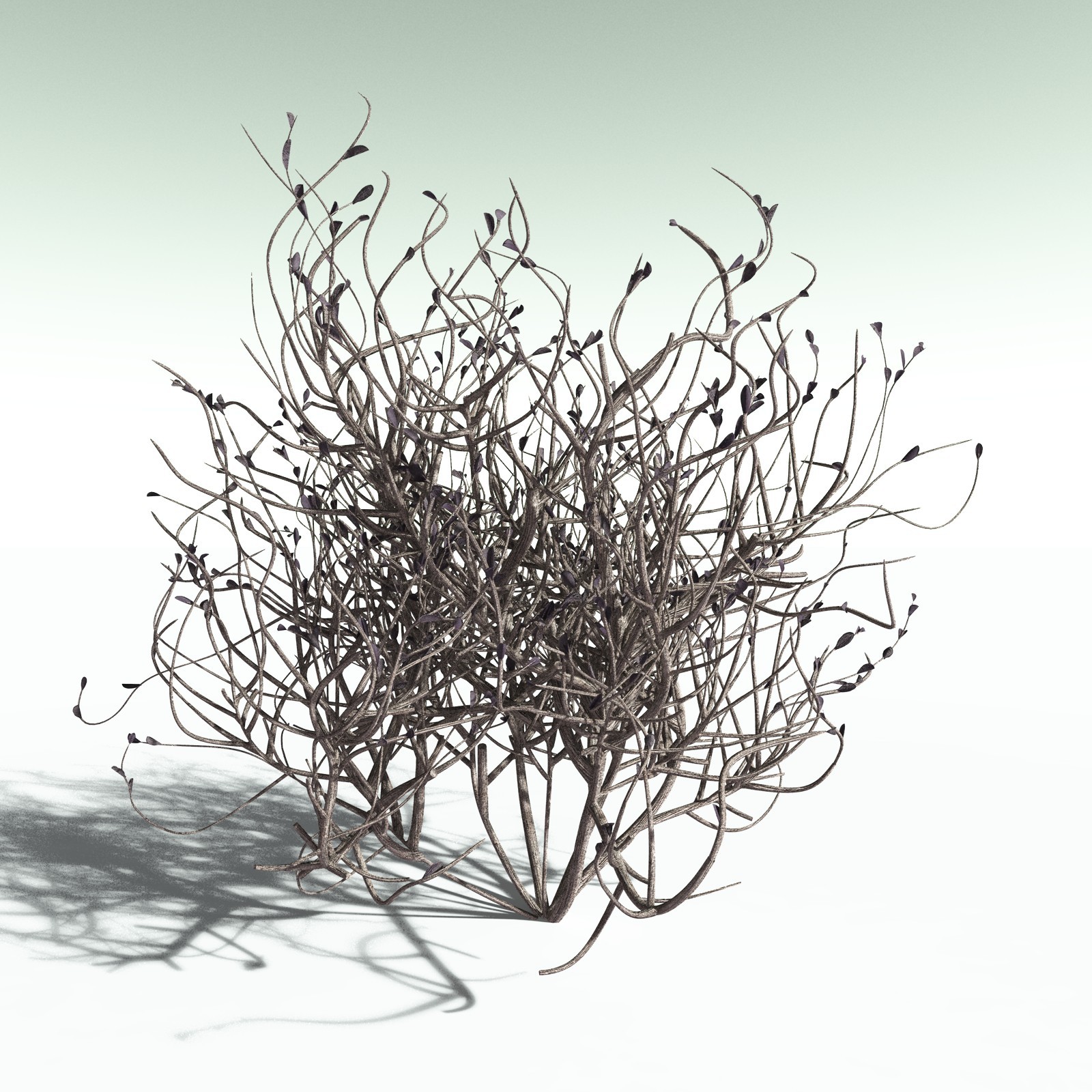 EVERYPlant Nilad for Poser by N/A