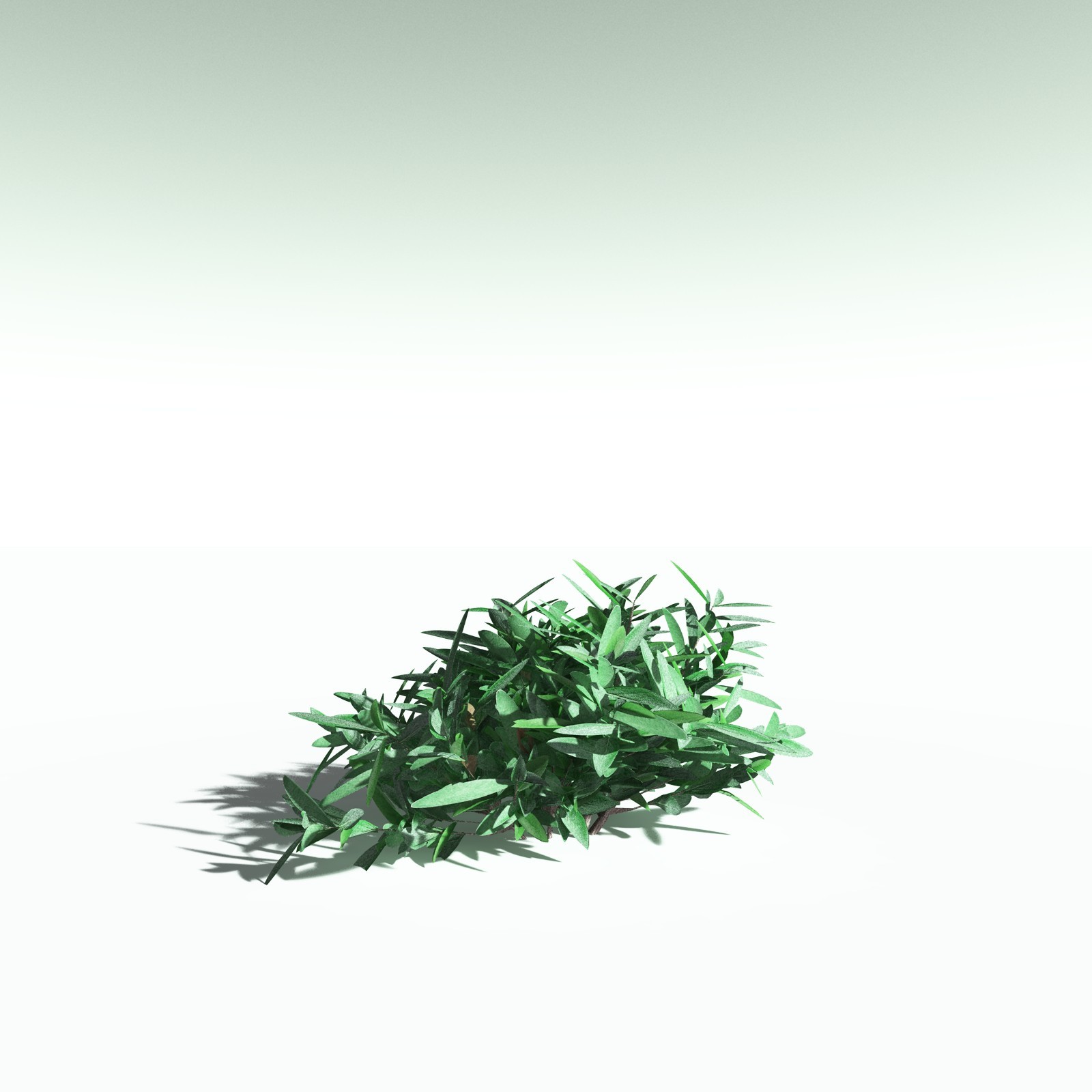 EVERYPlant Nilad for Poser by N/A