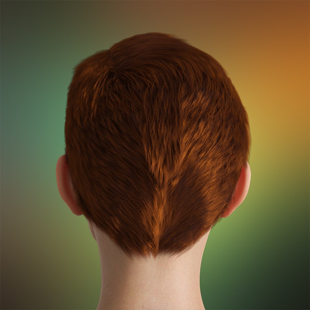 Prae-Billie Hair For G8/G9 Daz by N/A