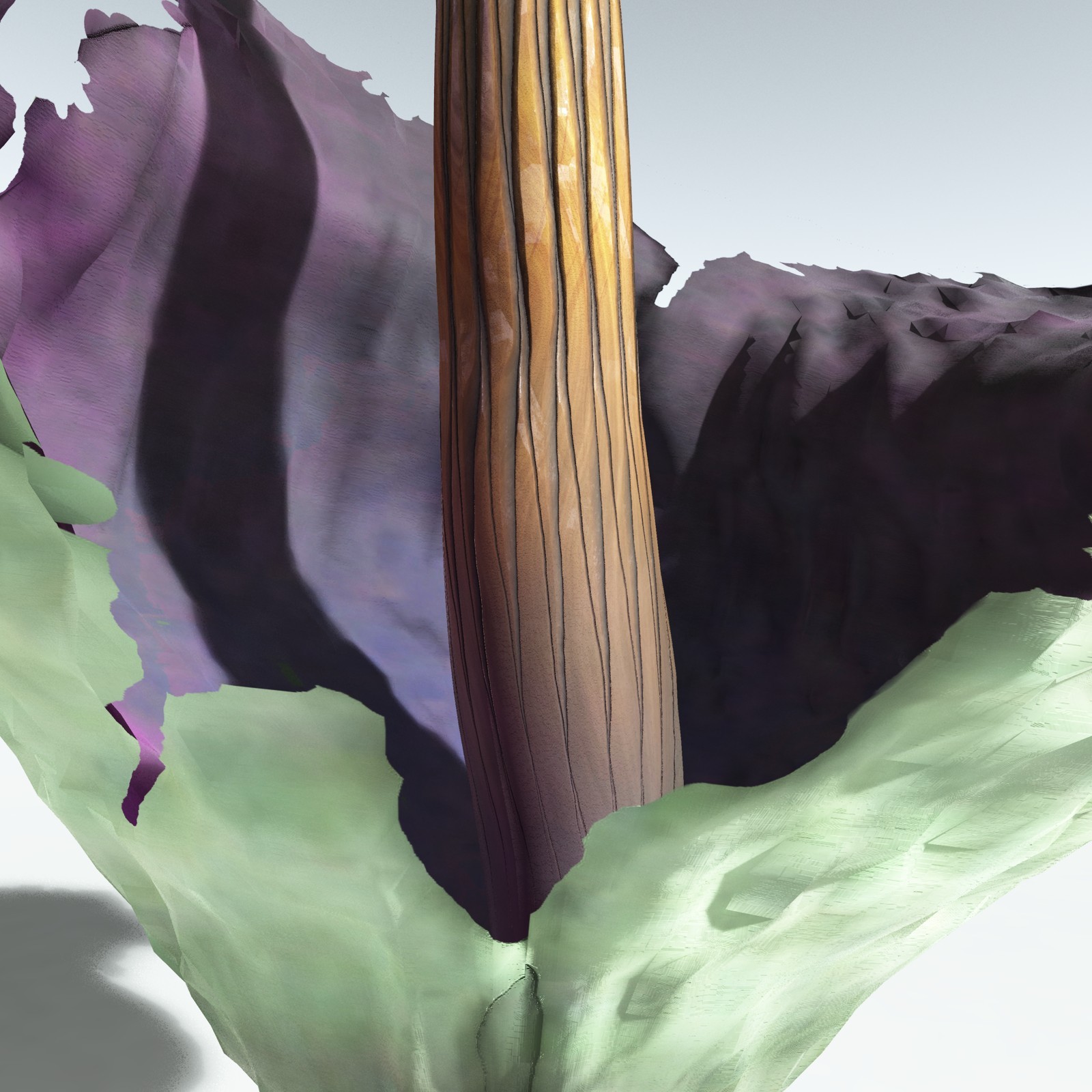 EVERYPlant Corpse Flower for Vue by N/A