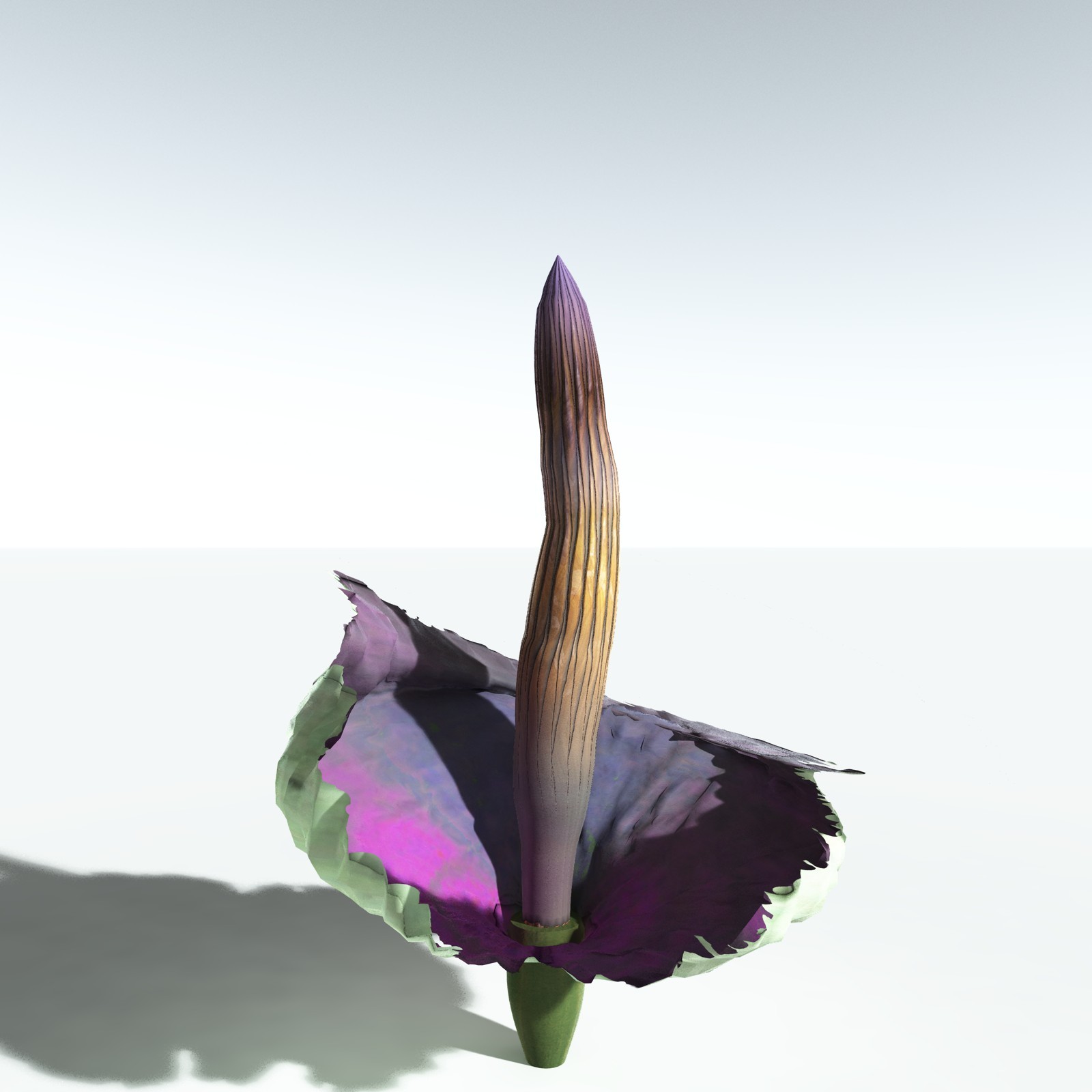 EVERYPlant Corpse Flower for Vue by N/A