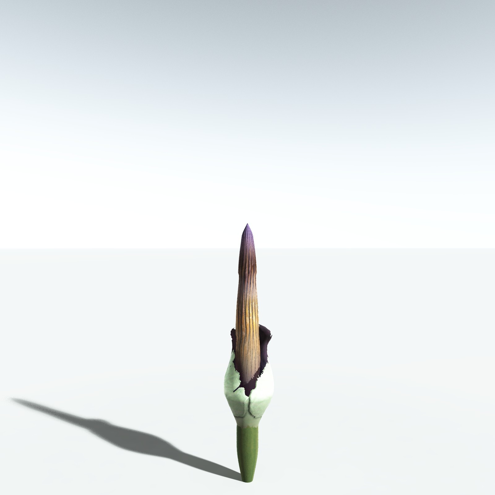 EVERYPlant Corpse Flower for Vue by N/A