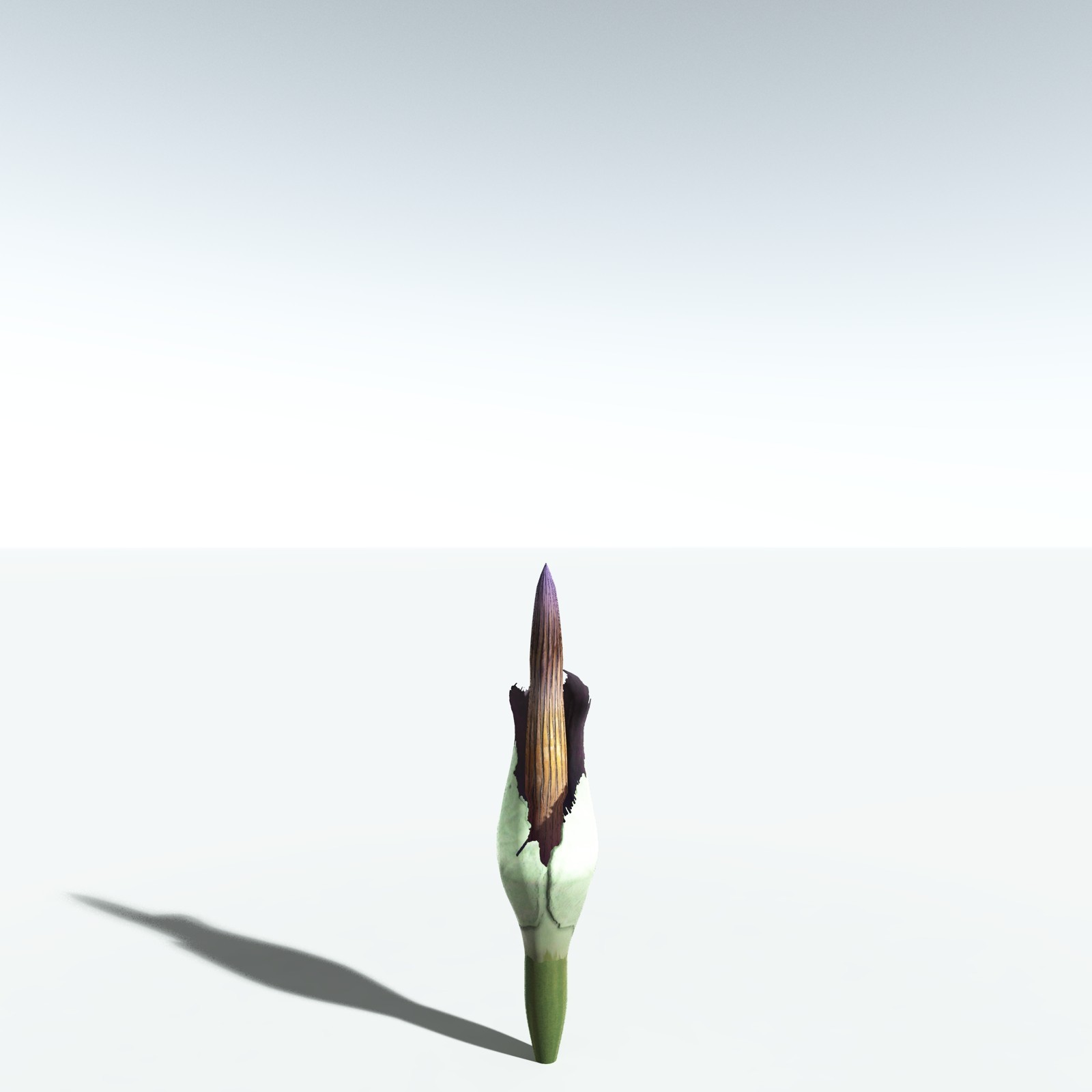 EVERYPlant Corpse Flower for Vue by N/A