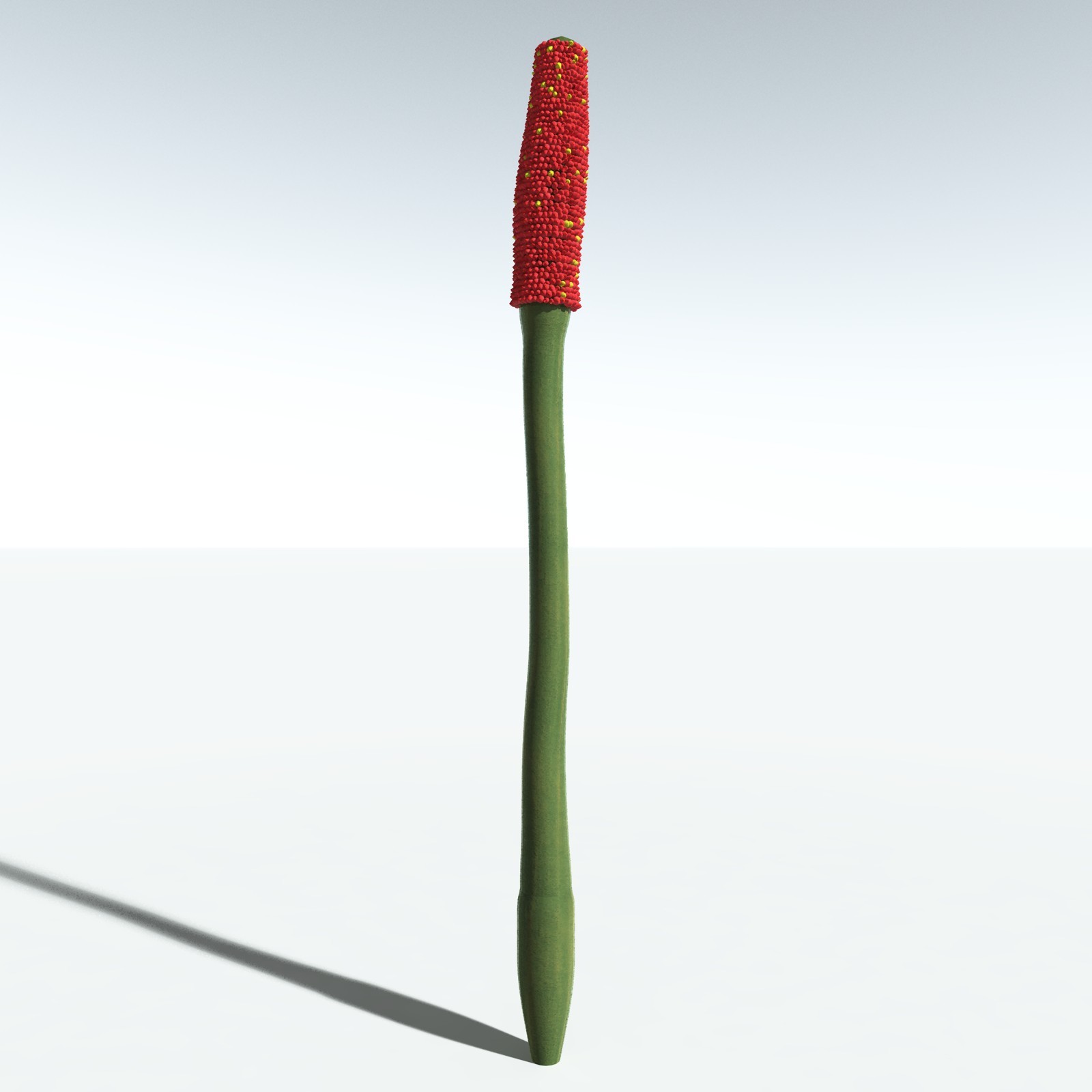 EVERYPlant Corpse Flower for Vue by N/A