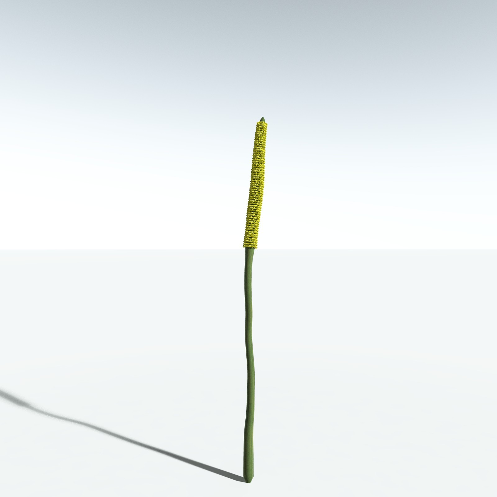 EVERYPlant Corpse Flower for Vue by N/A