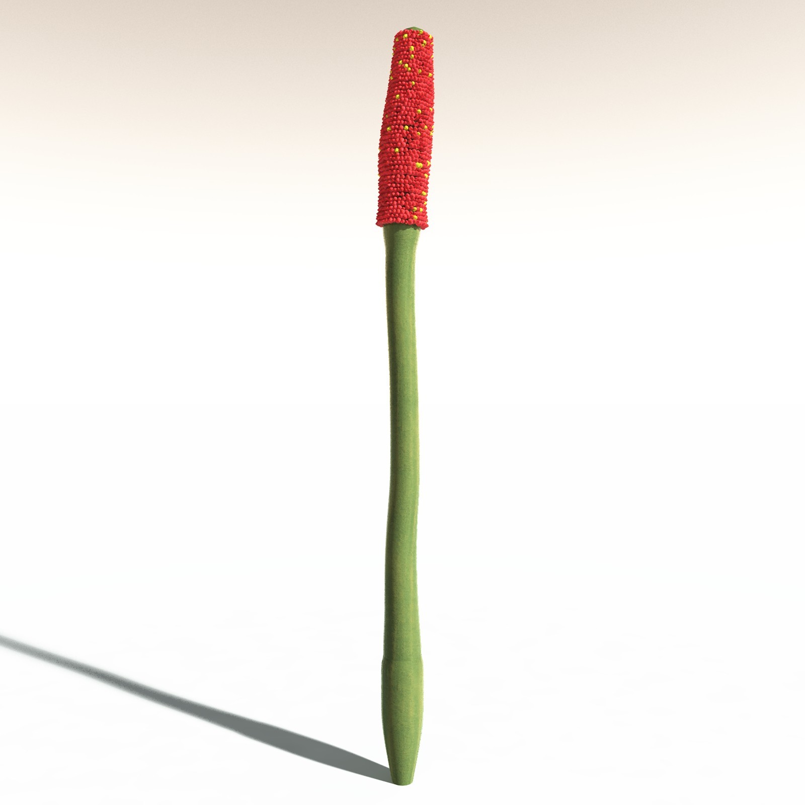 EVERYPlant Corpse Flower for Daz by N/A