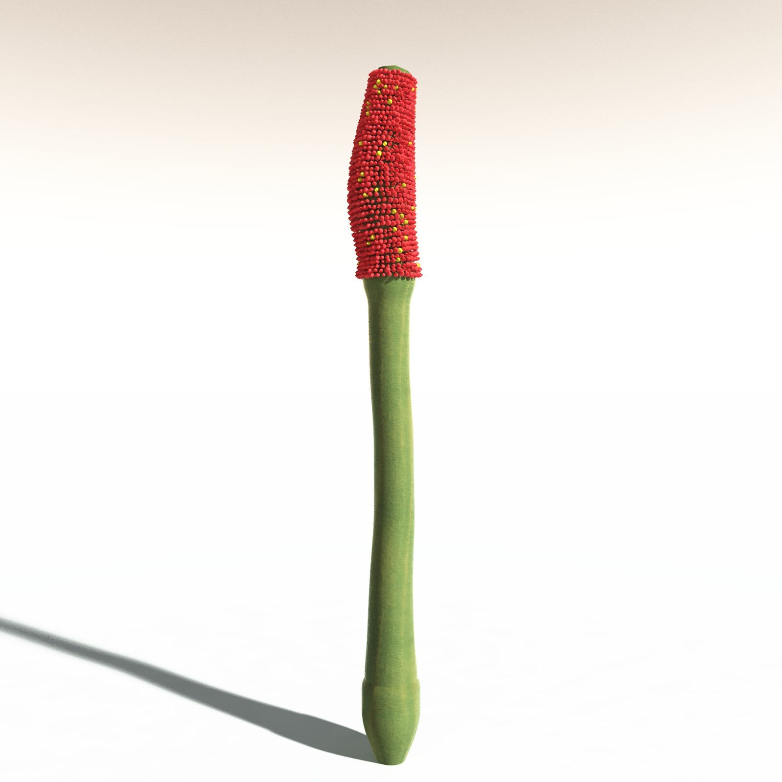 EVERYPlant Corpse Flower for Daz by N/A