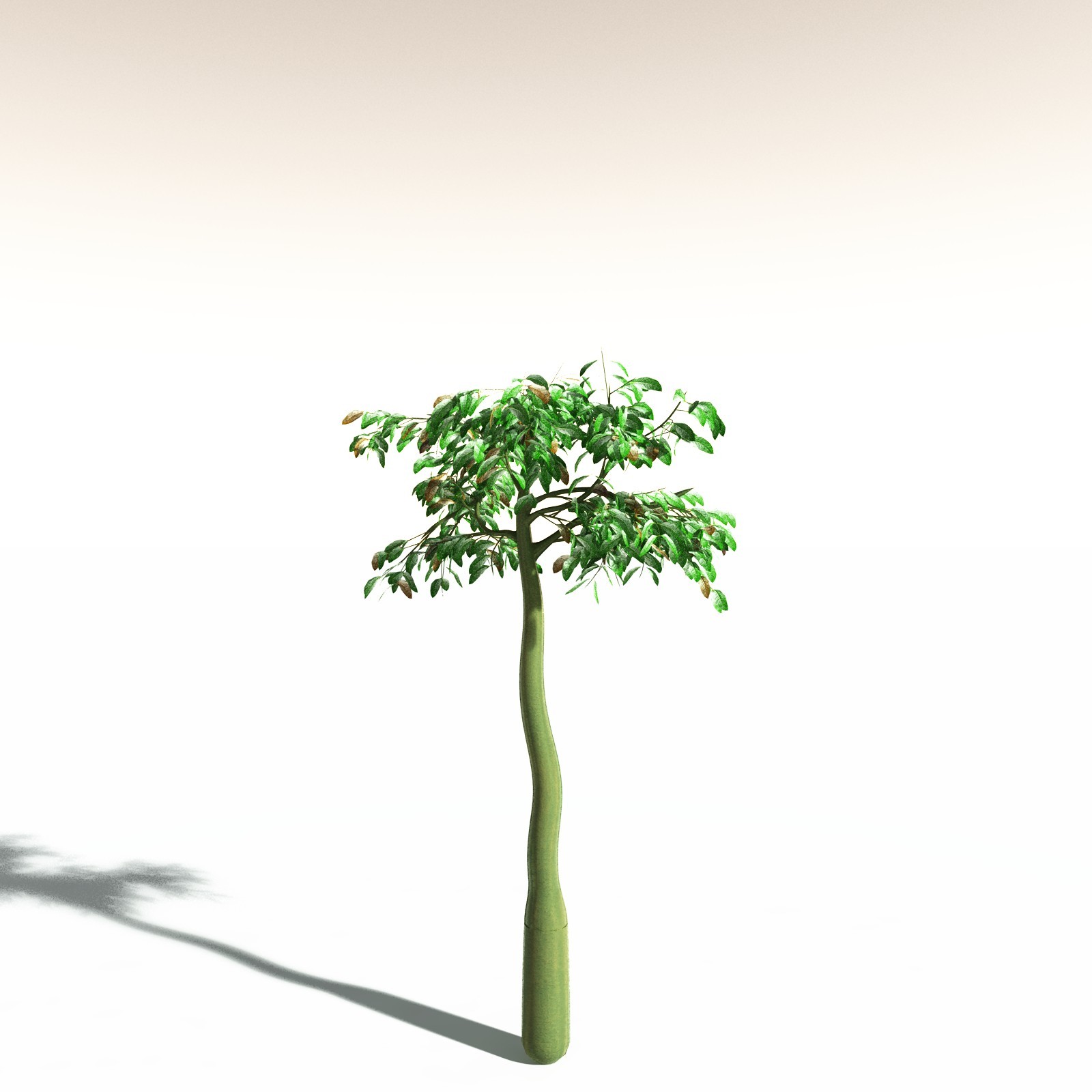 EVERYPlant Corpse Flower for Daz by N/A