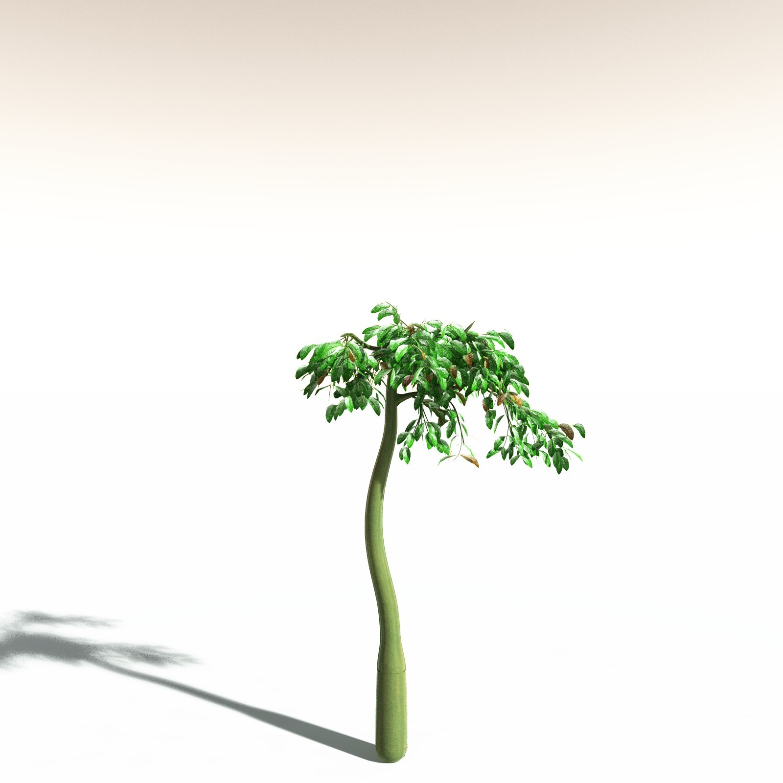 EVERYPlant Corpse Flower for Daz by N/A