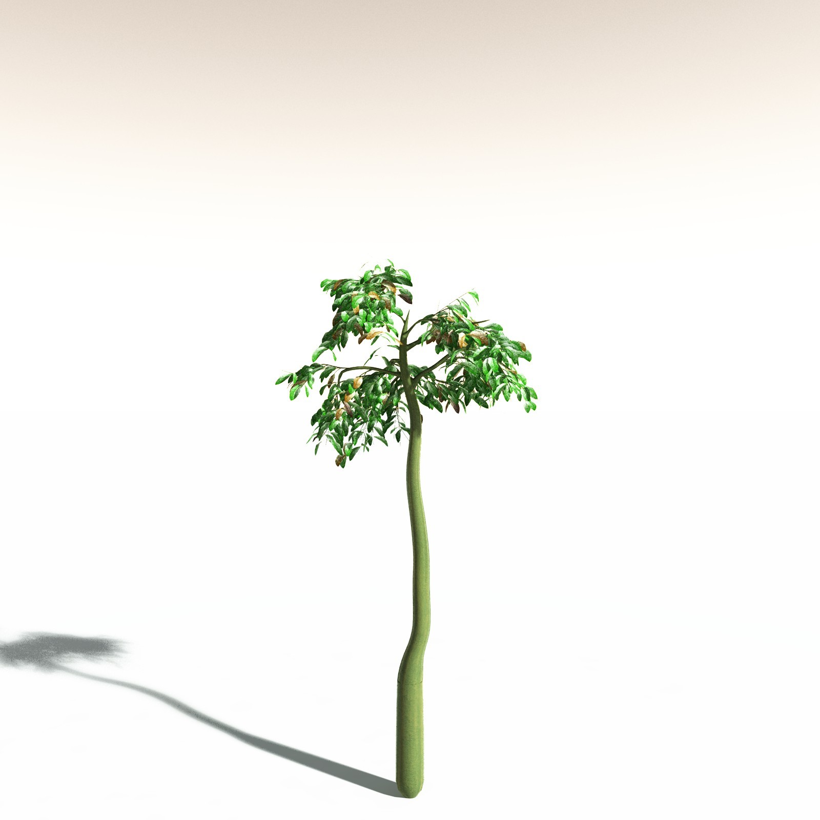 EVERYPlant Corpse Flower for Daz by N/A