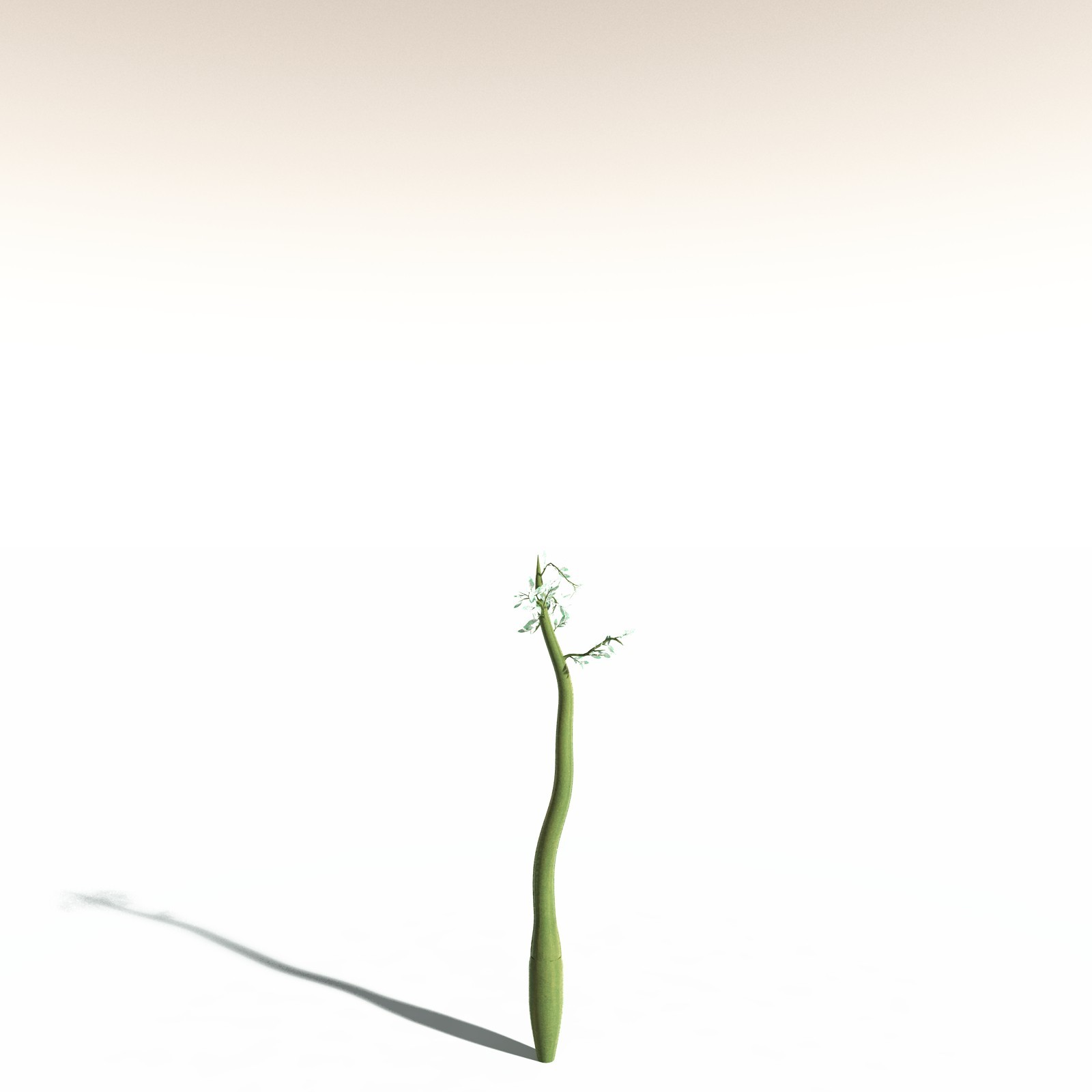 EVERYPlant Corpse Flower for Daz by N/A