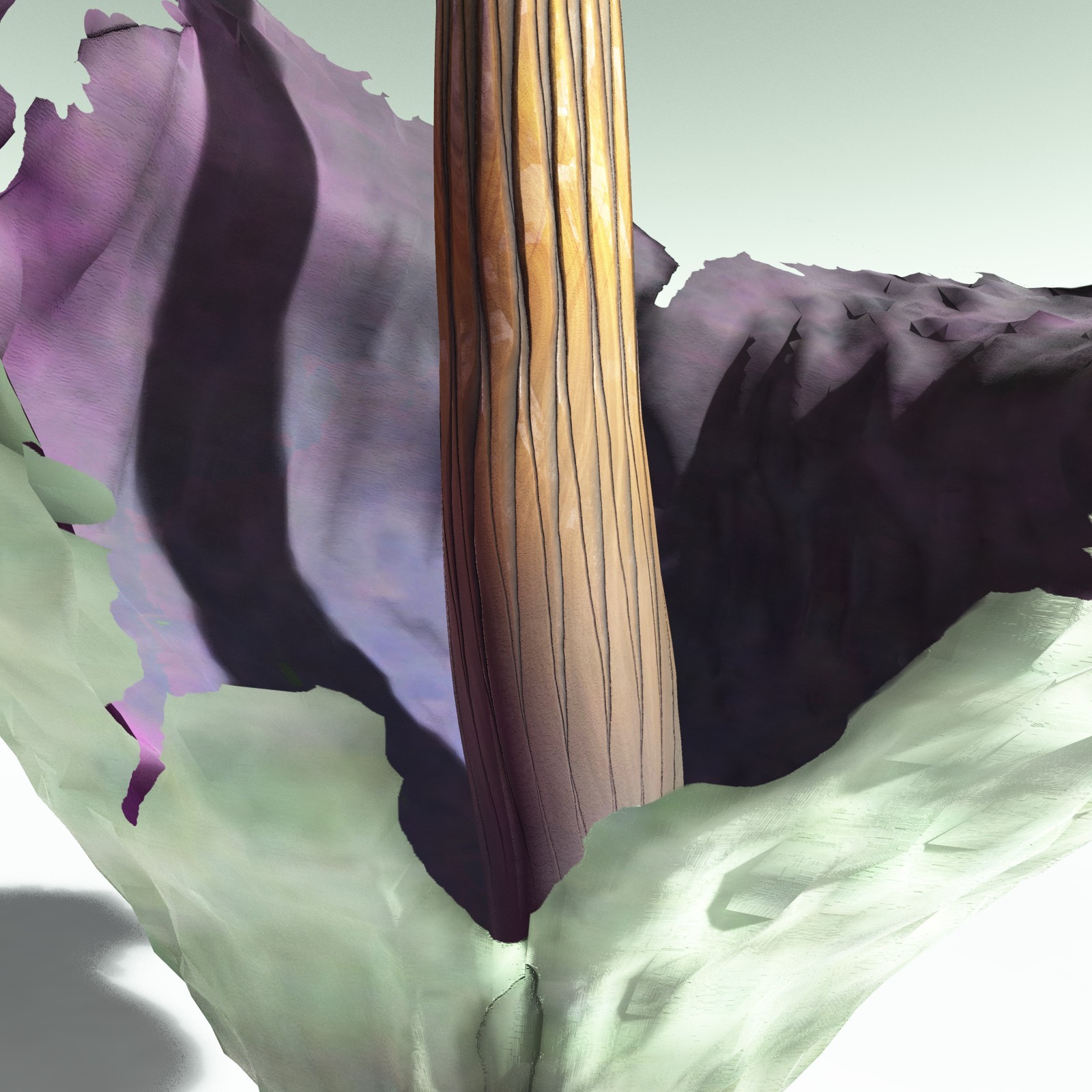 EVERYPlant Corpse Flower for Poser by N/A