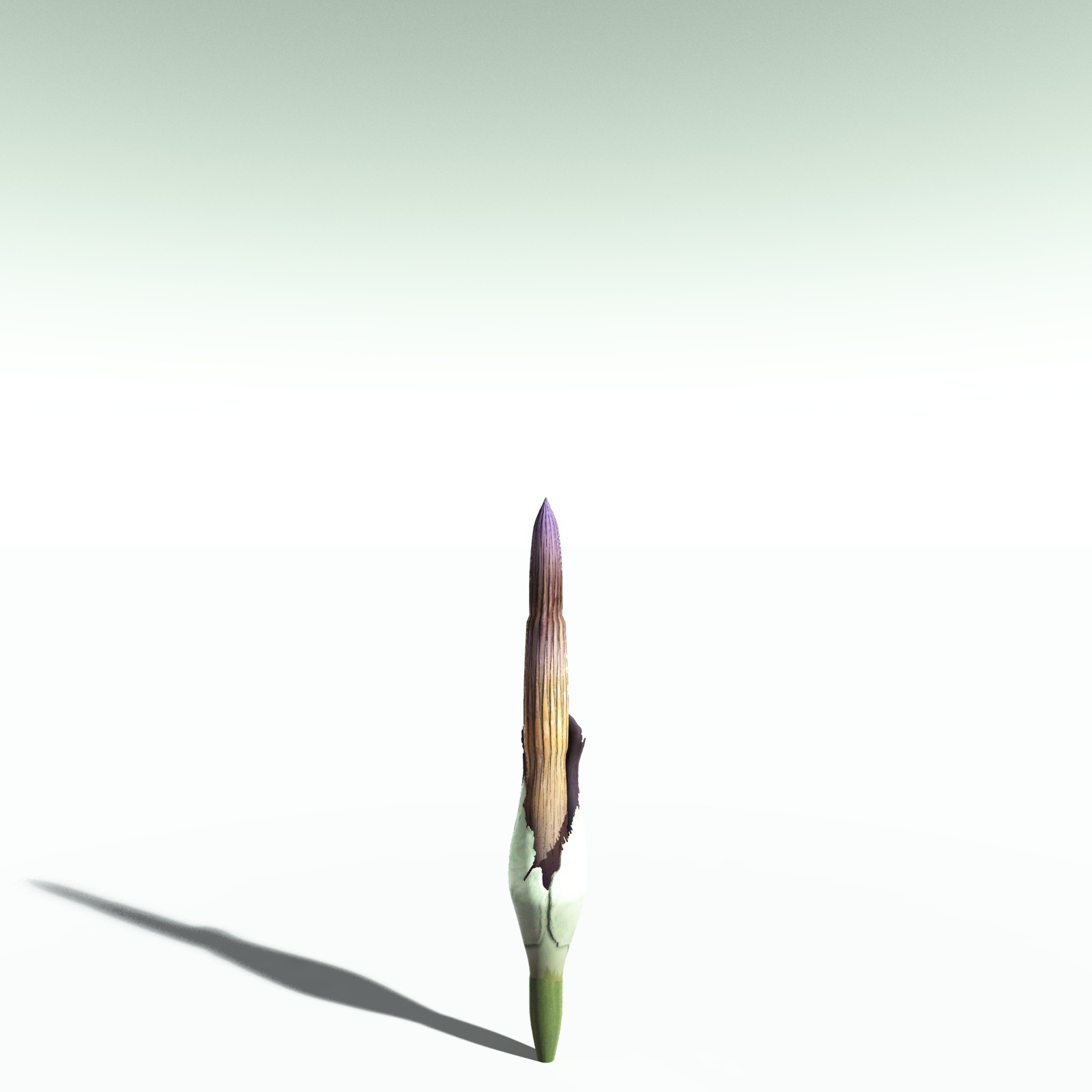 EVERYPlant Corpse Flower for Poser by N/A