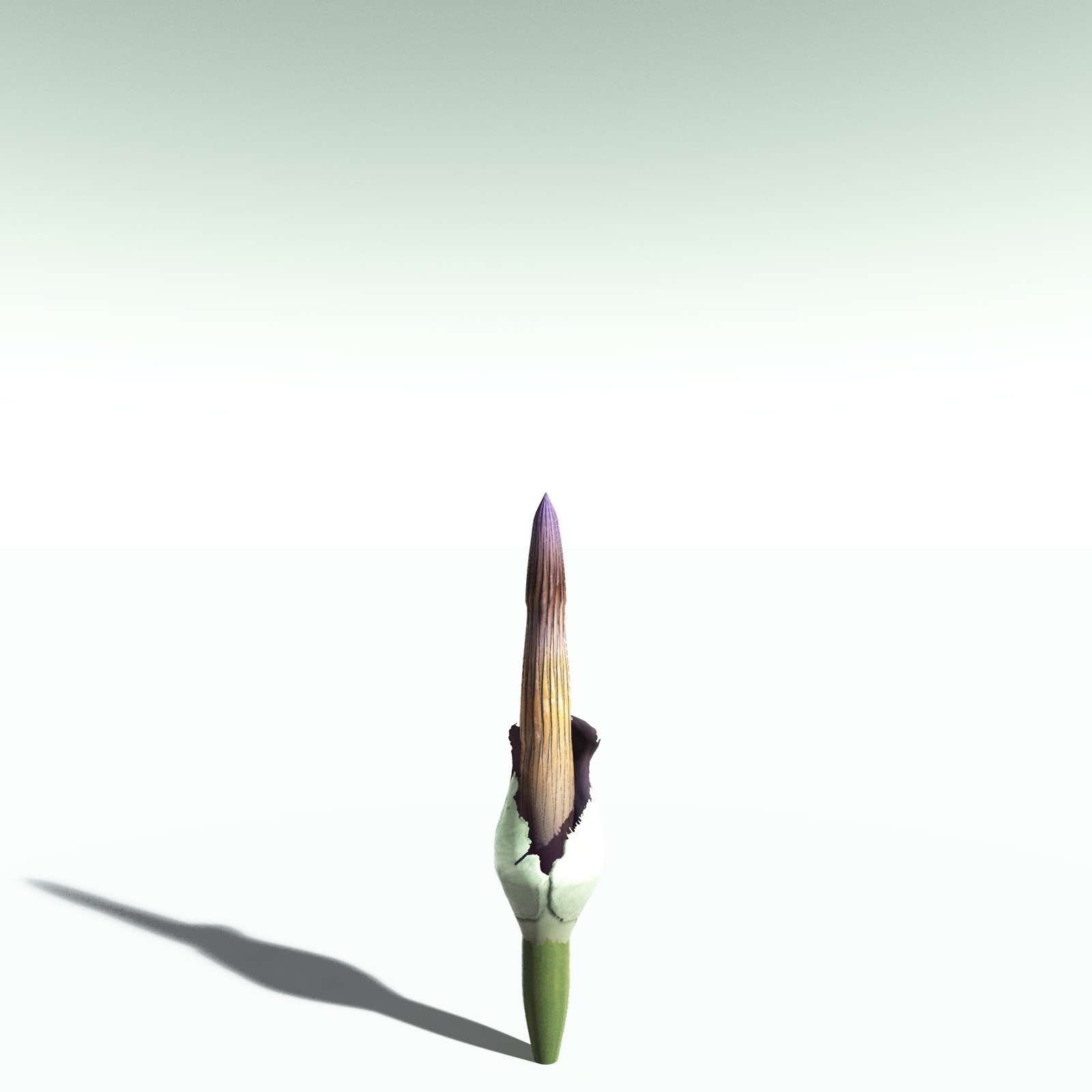 EVERYPlant Corpse Flower for Poser by N/A