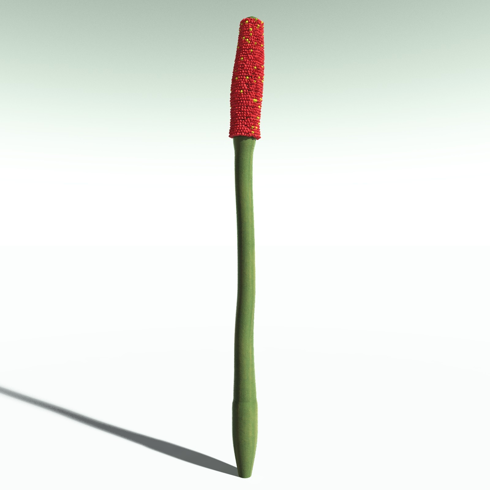 EVERYPlant Corpse Flower for Poser by N/A