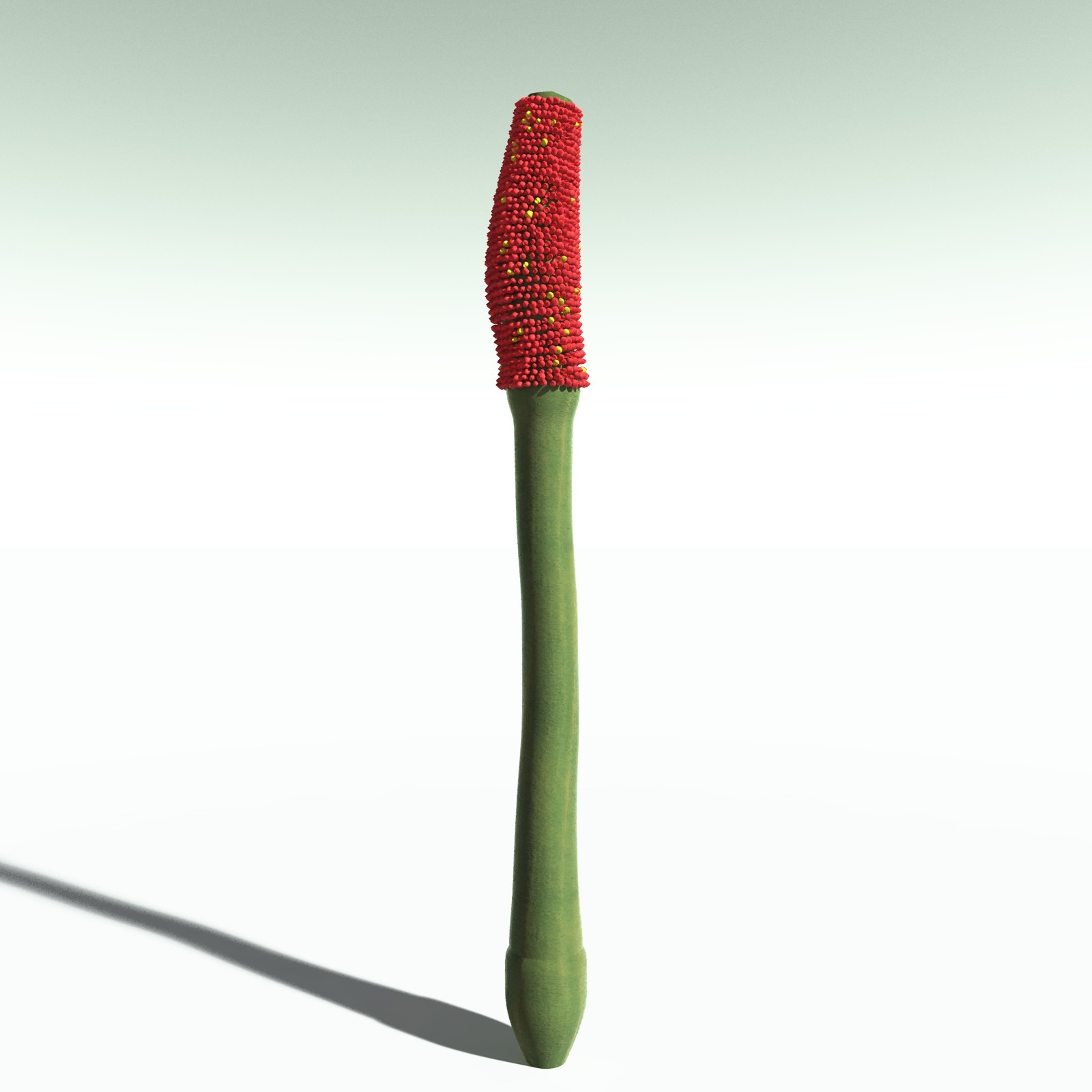 EVERYPlant Corpse Flower for Poser by N/A