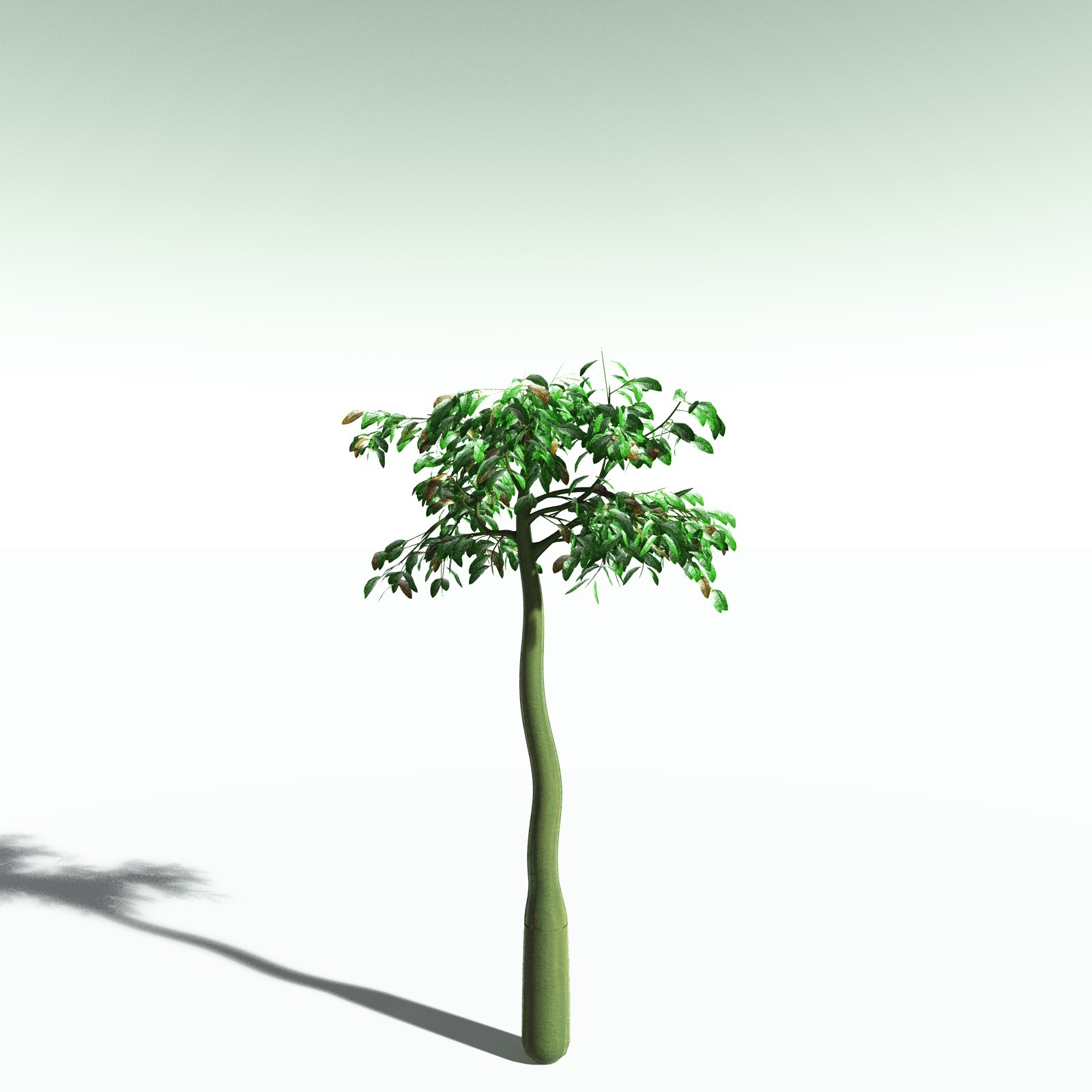 EVERYPlant Corpse Flower for Poser by N/A