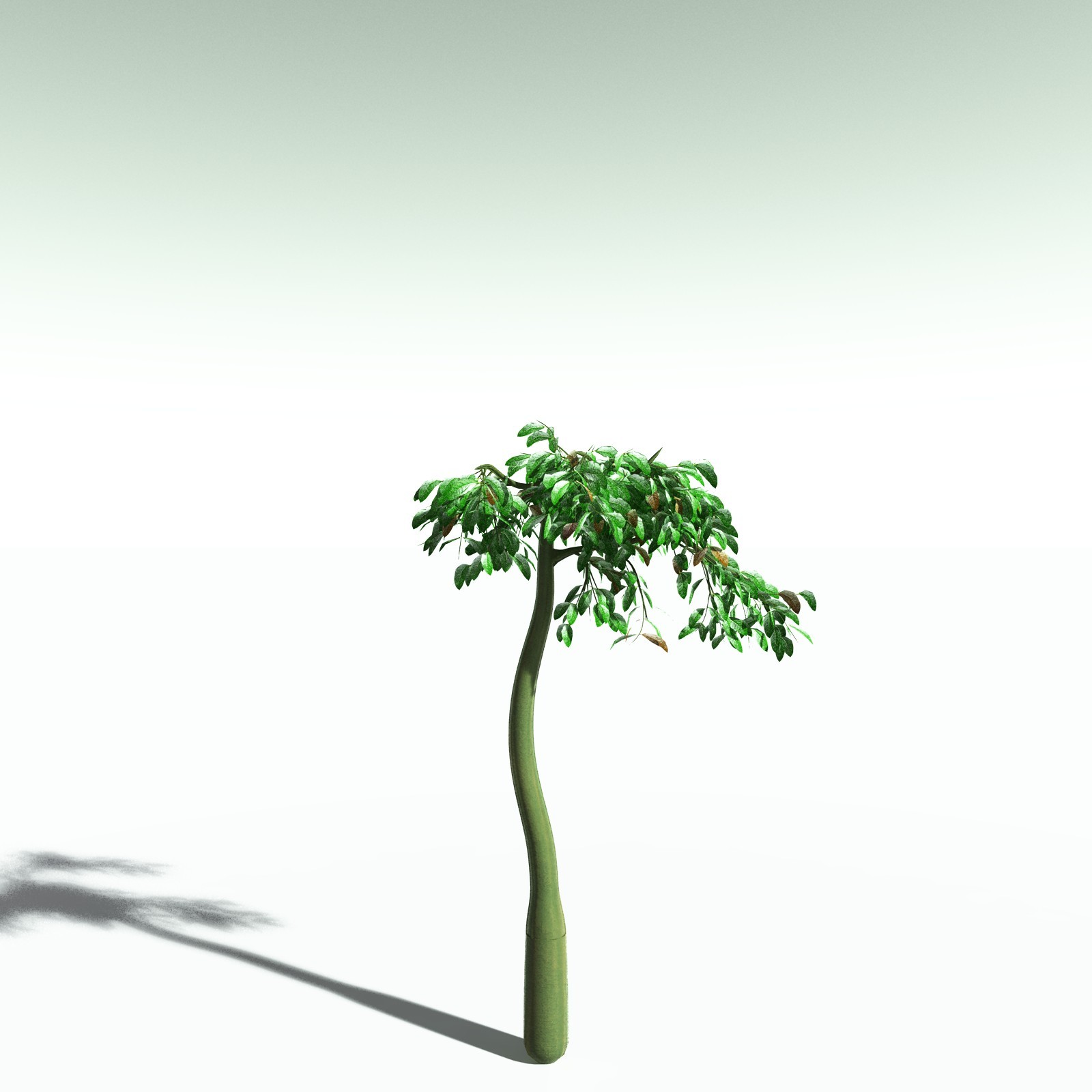 EVERYPlant Corpse Flower for Poser by N/A