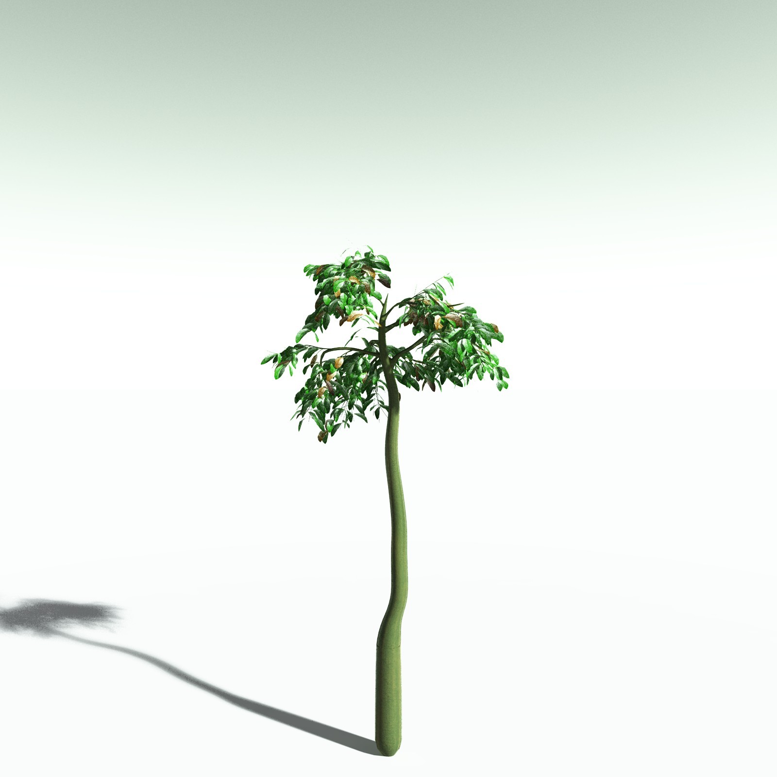 EVERYPlant Corpse Flower for Poser by N/A
