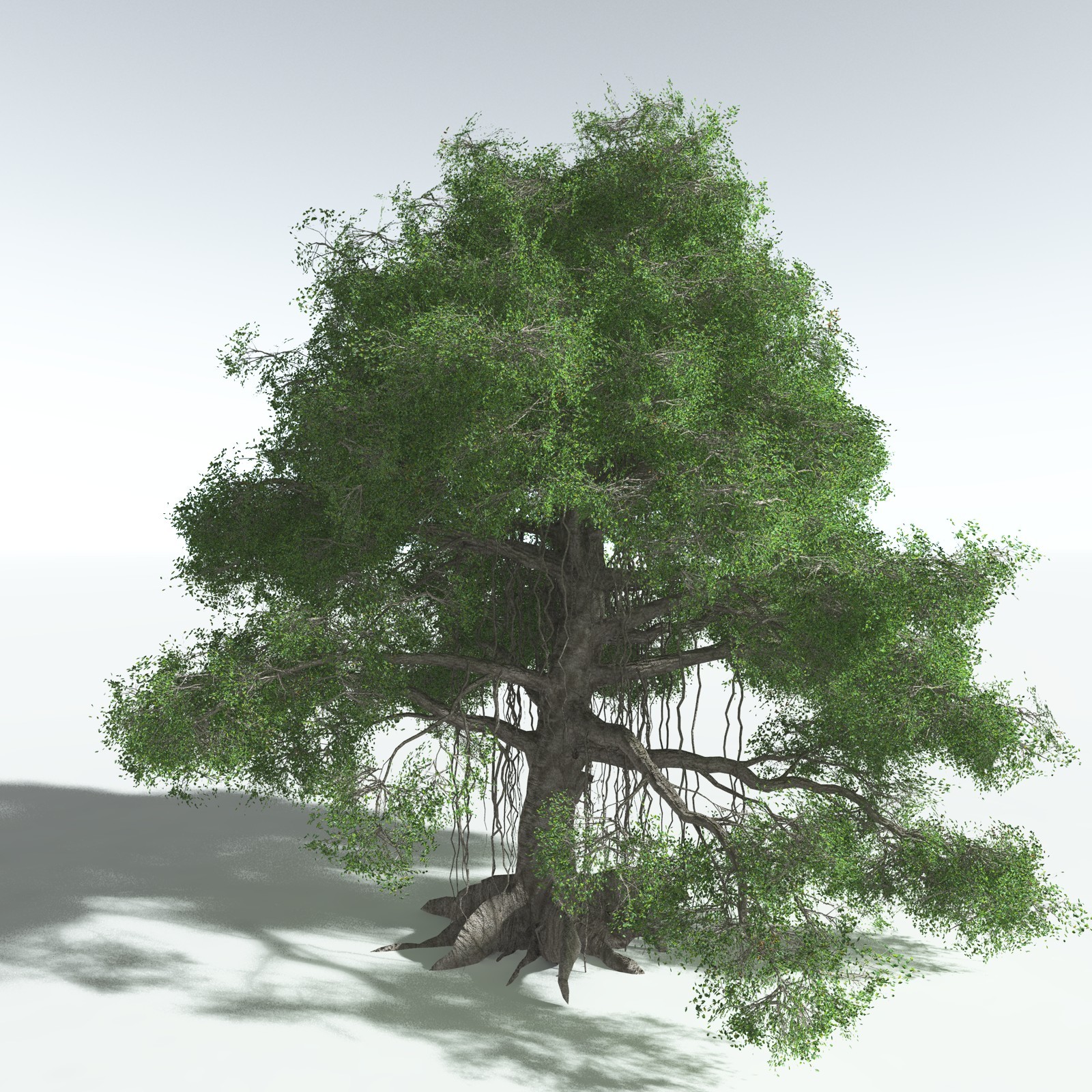 EVERYPlant SE Asian Jungle Biome for Vue by N/A