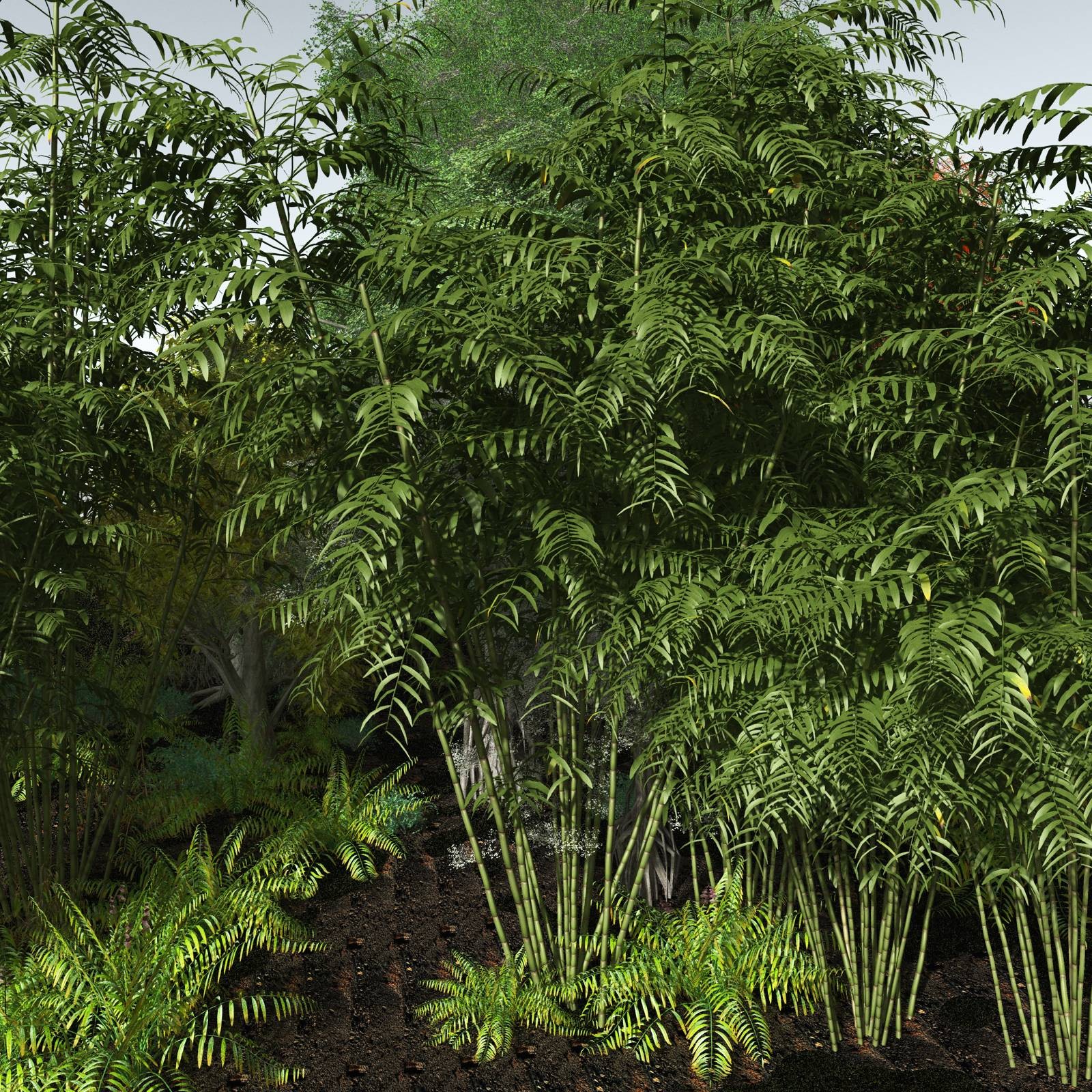 EVERYPlant SE Asian Jungle Biome for Daz by N/A