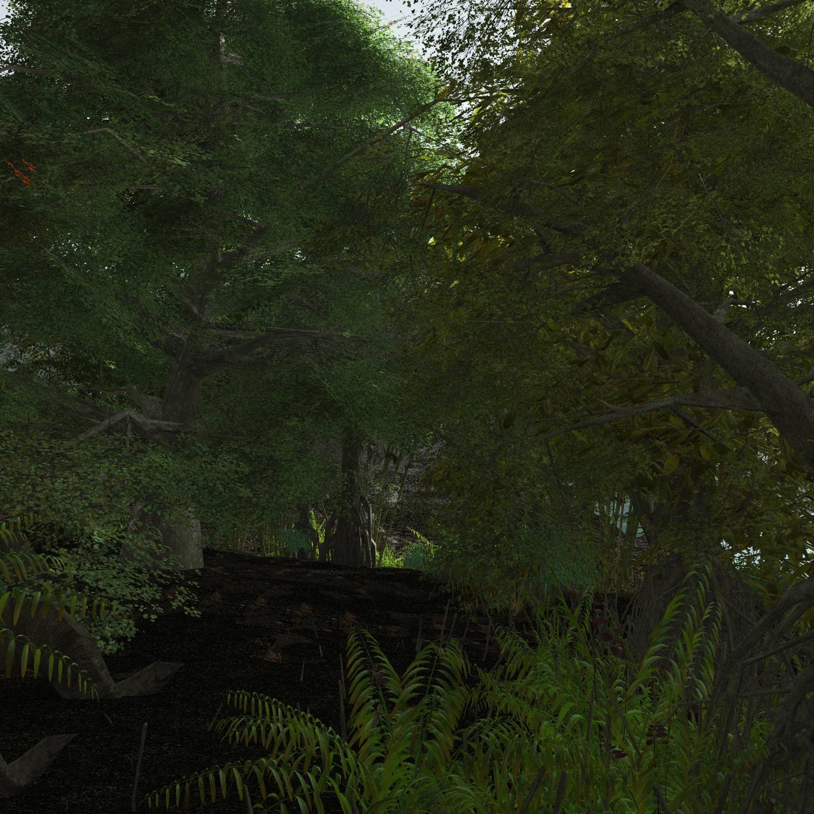 EVERYPlant SE Asian Jungle Biome for Daz by N/A