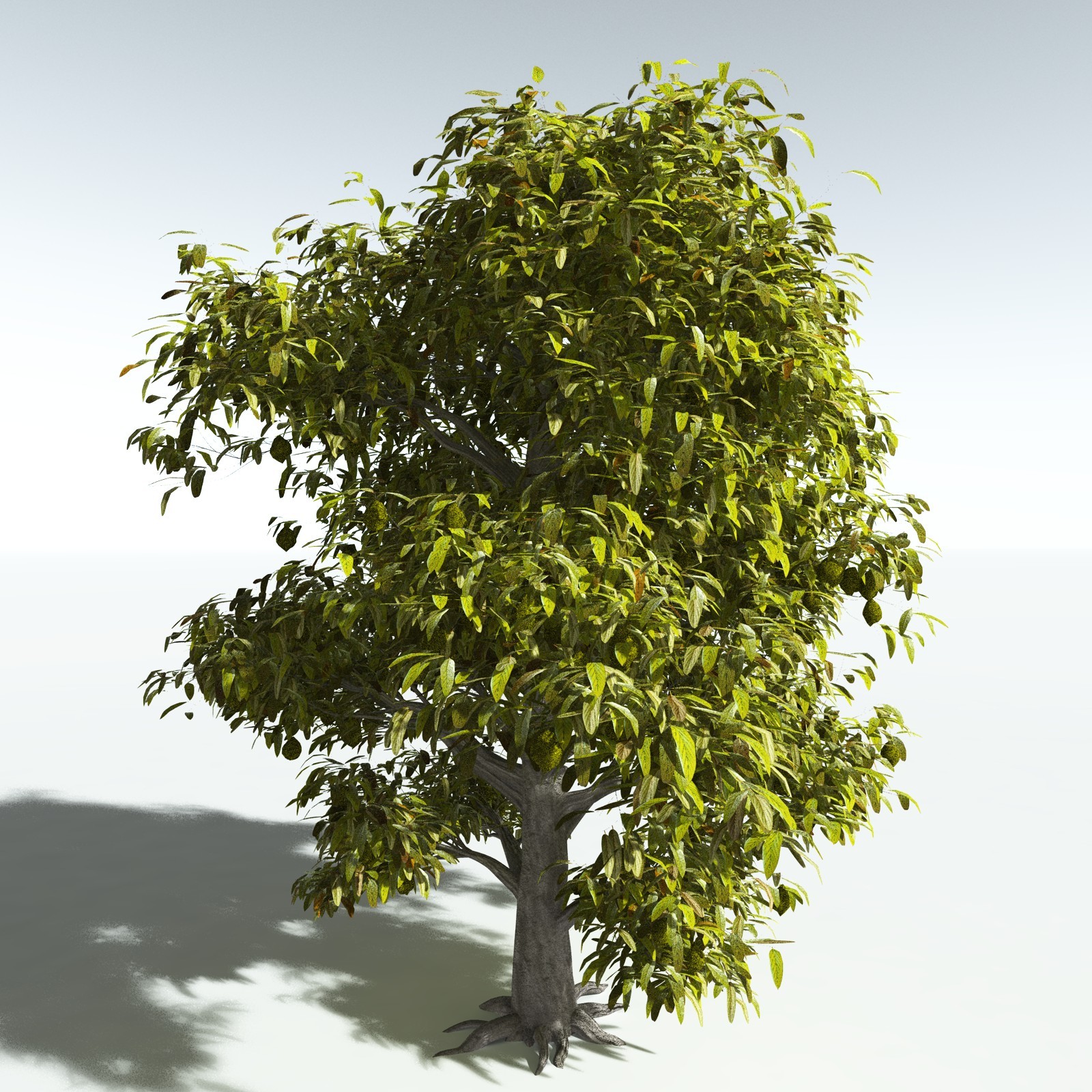 EVERYPlant SE Asian Jungle Biome for Daz by N/A