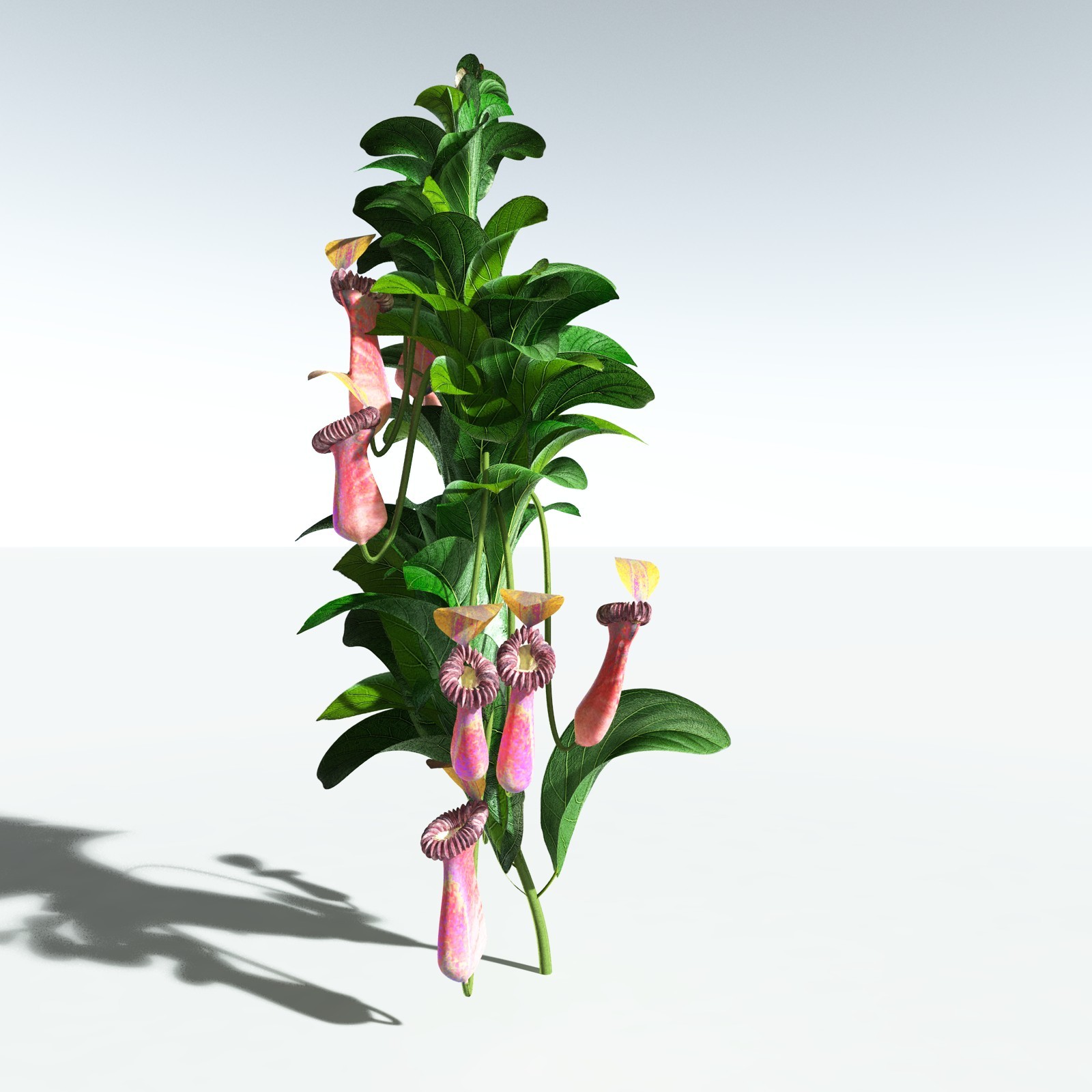 EVERYPlant SE Asian Jungle Biome for Daz by N/A