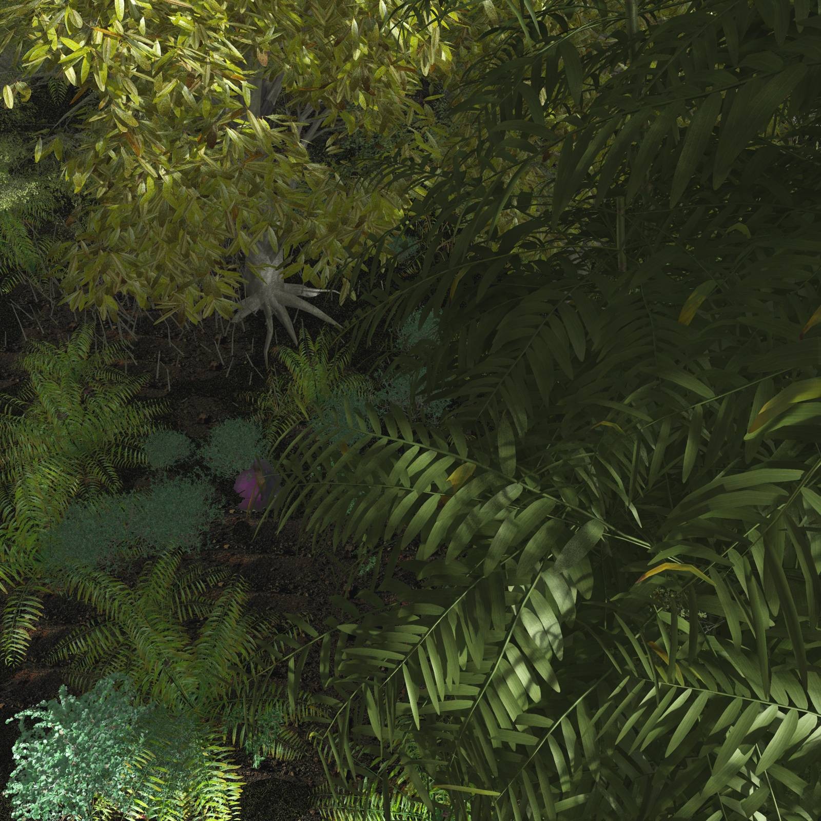 EVERYPlant SE Asian Jungle Biome for Poser by N/A