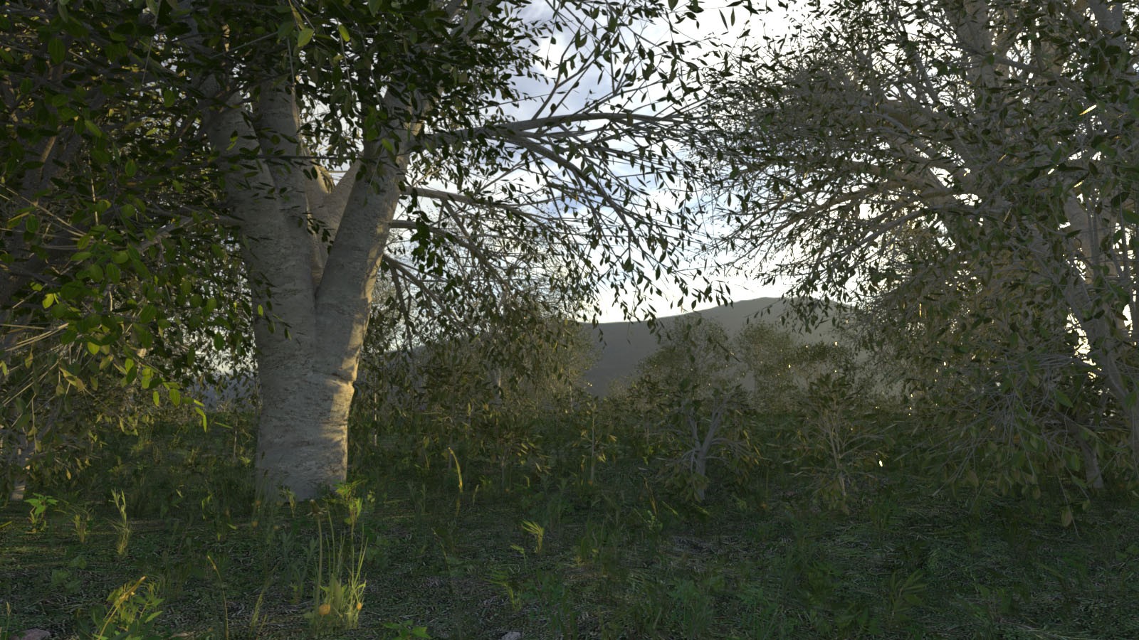 Photo Props: Basetree Megapack by N/A