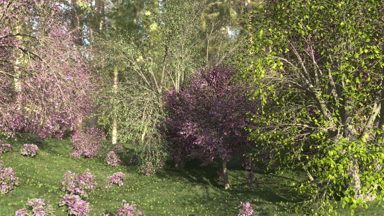 Photo Props: Basetree Megapack by N/A