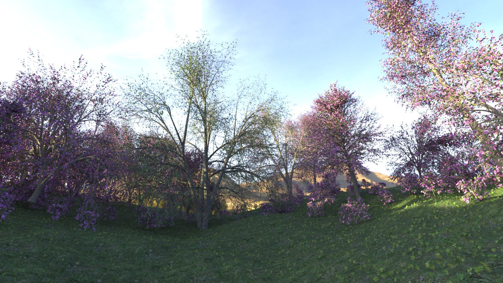 Photo Props: Basetree Megapack by N/A