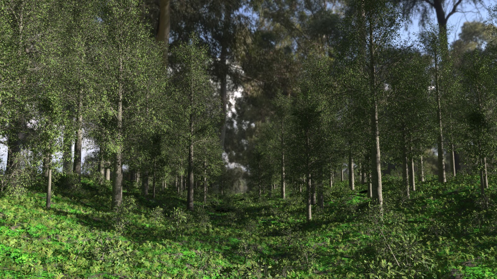 Photo Props: Basetree Megapack by N/A