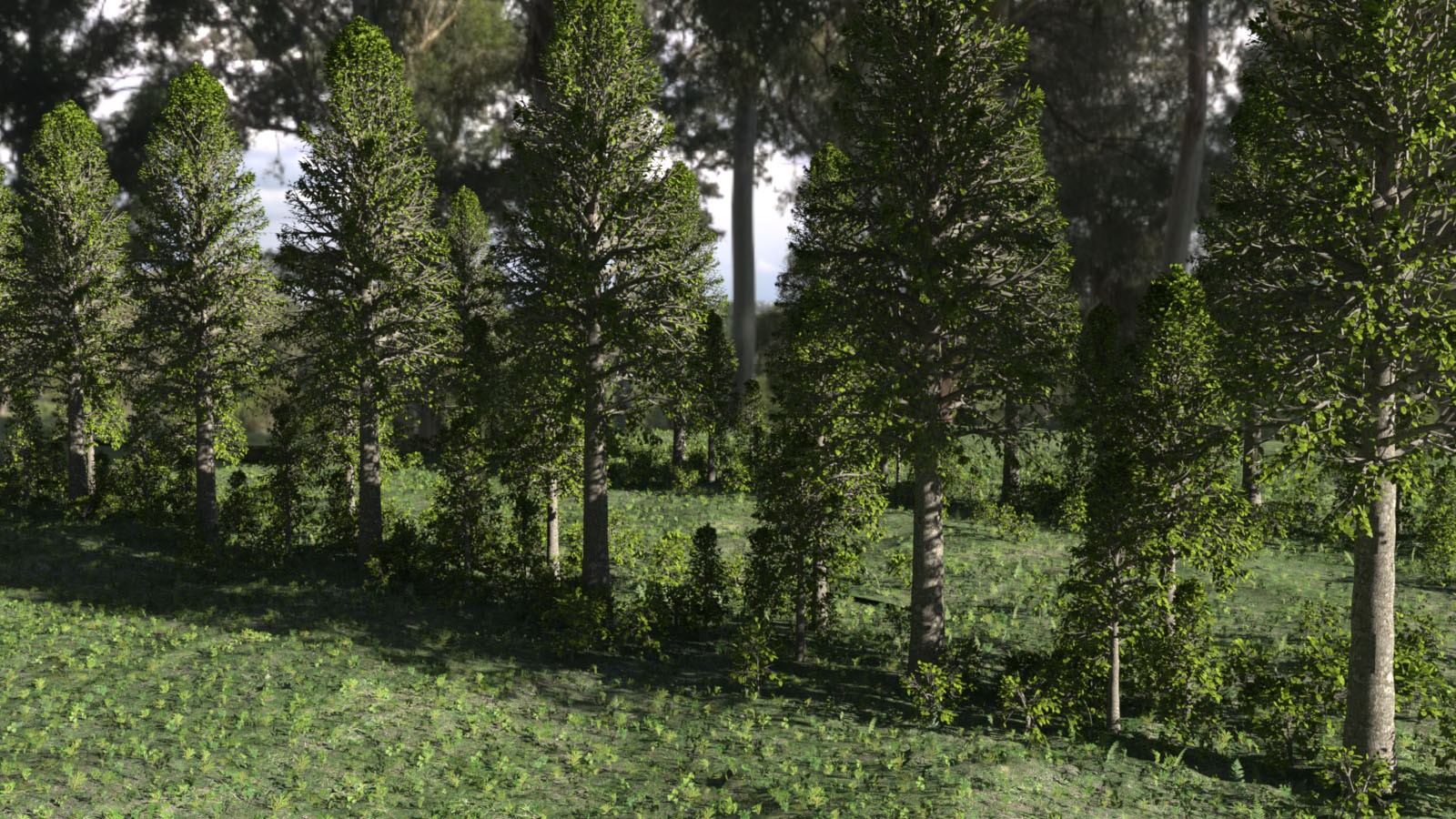 Photo Props: Basetree Megapack by N/A