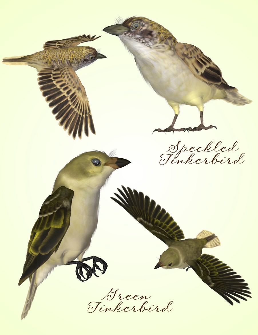 Songbird ReMix Tinkerbirds & Mousebirds by N/A