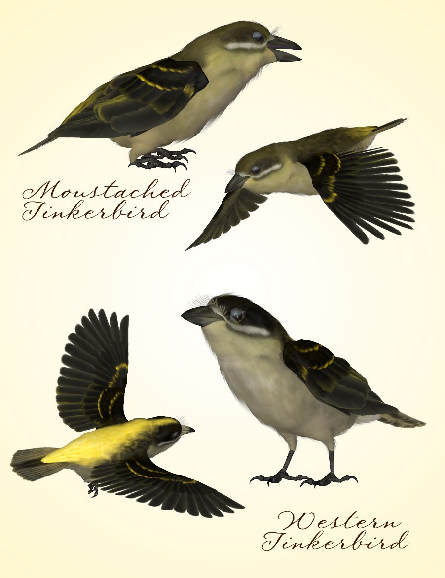 Songbird ReMix Tinkerbirds & Mousebirds by N/A