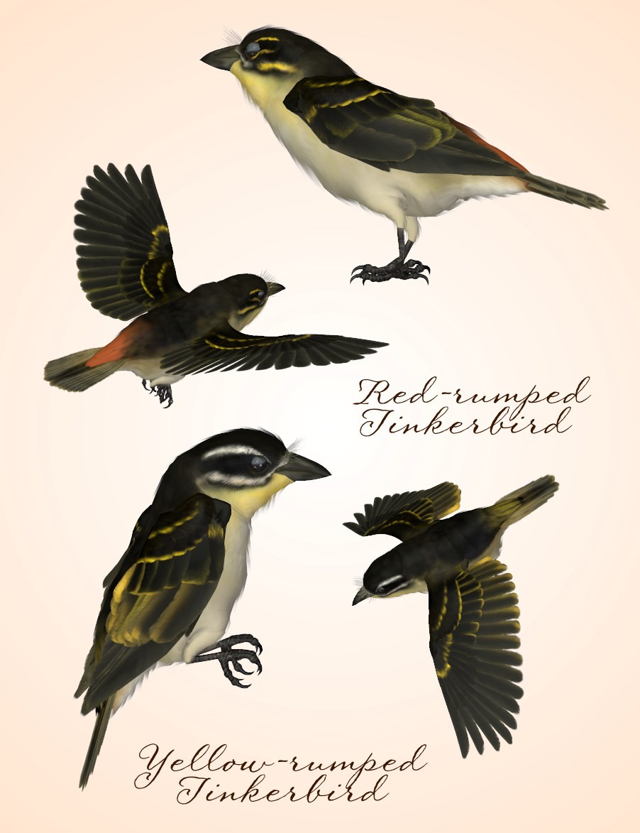 Songbird ReMix Tinkerbirds & Mousebirds by N/A