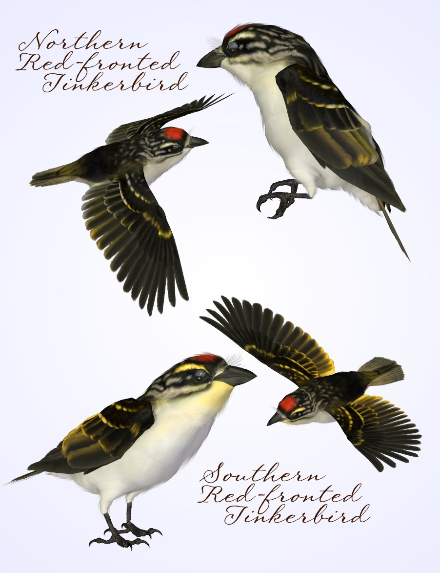Songbird ReMix Tinkerbirds & Mousebirds by N/A