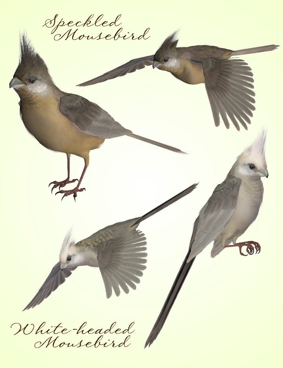 Songbird ReMix Tinkerbirds & Mousebirds by N/A
