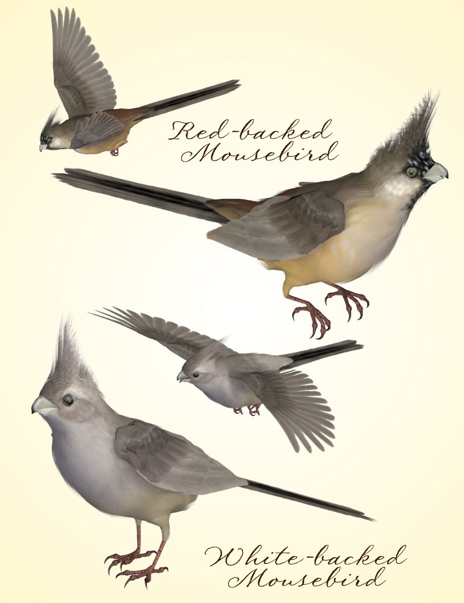 Songbird ReMix Tinkerbirds & Mousebirds by N/A